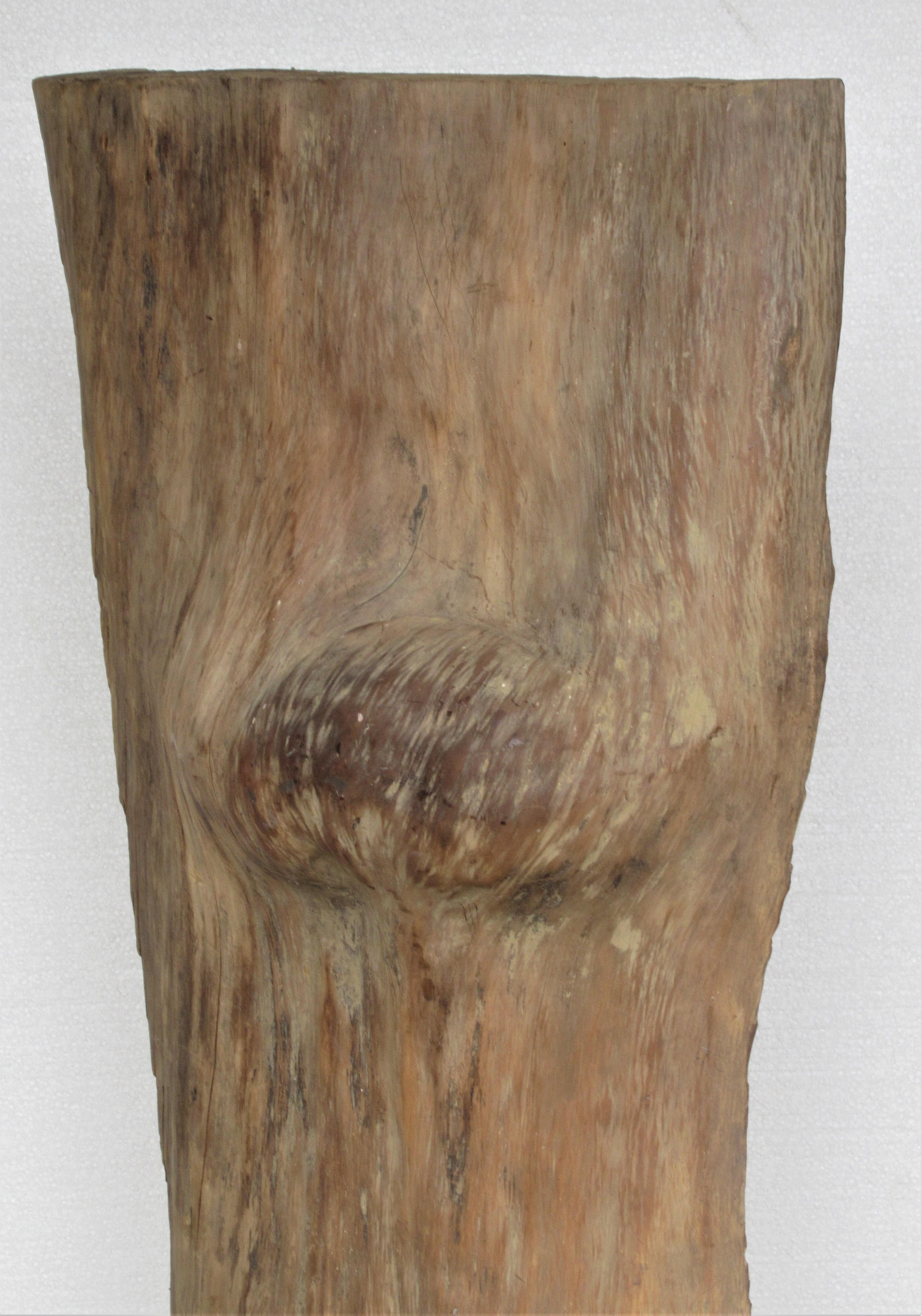 Large Old Burl Tree Trunk Mounted as Sculpture For Sale 2