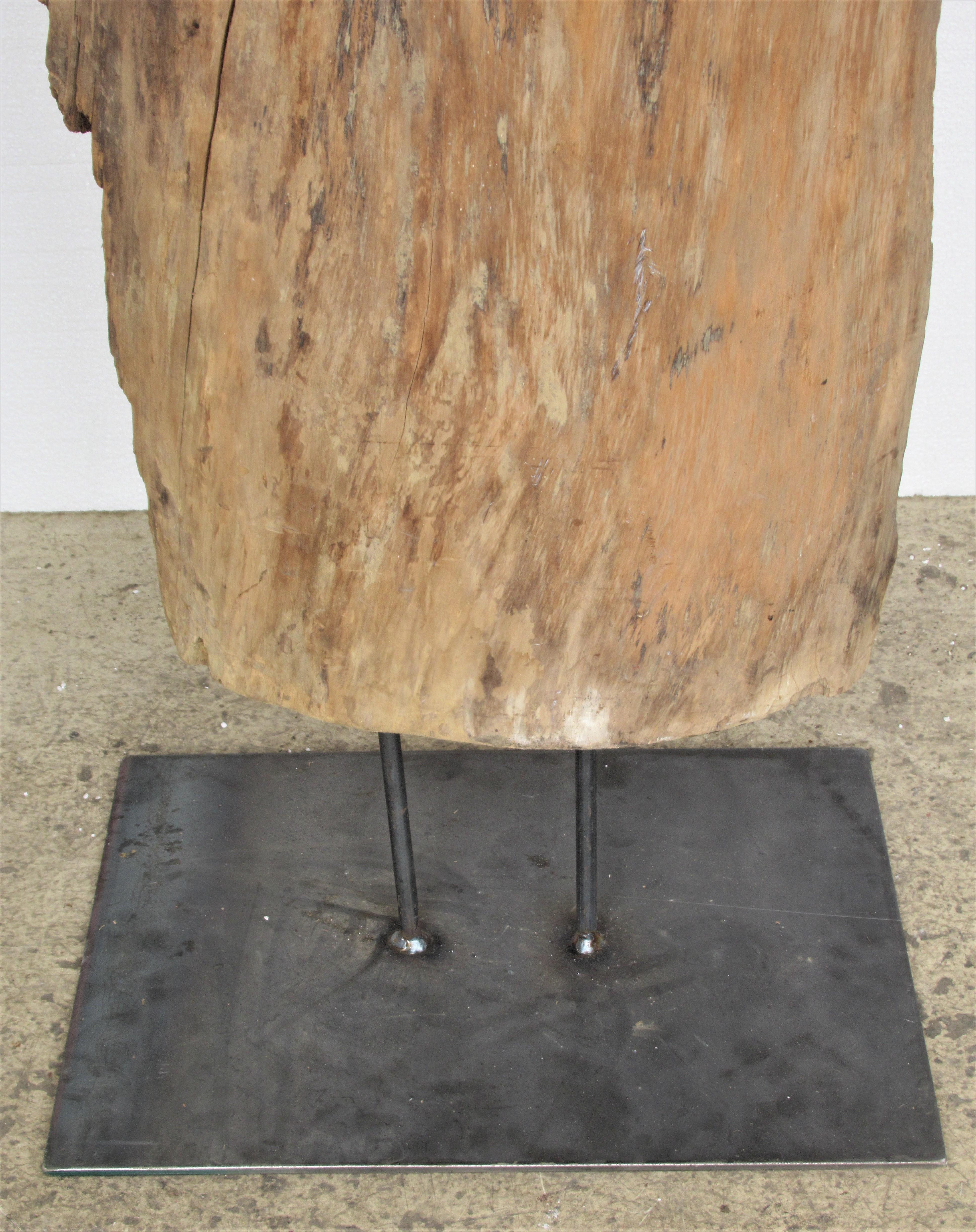 Large Old Burl Tree Trunk Mounted as Sculpture For Sale 5