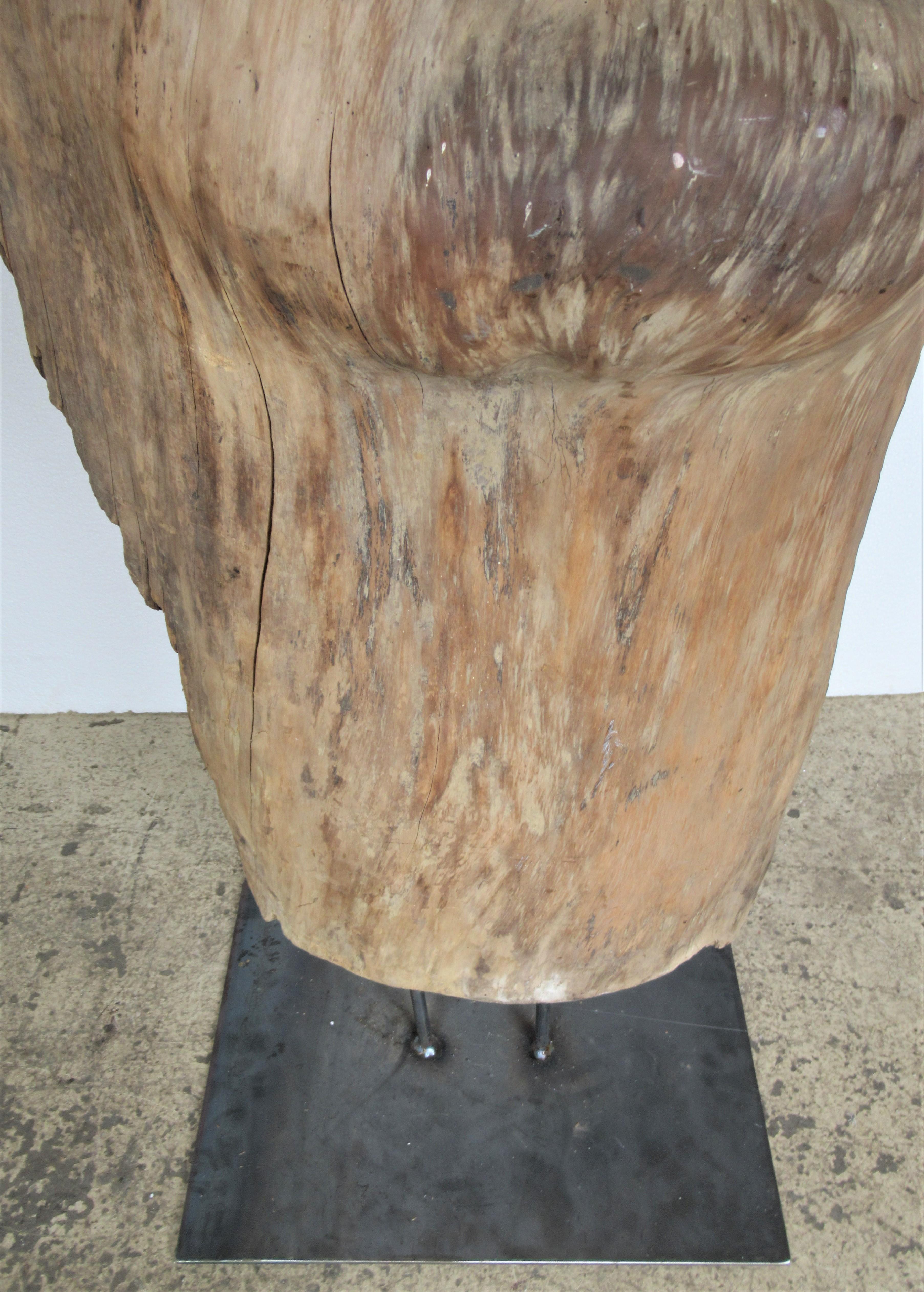 Large Old Burl Tree Trunk Mounted as Sculpture For Sale 6