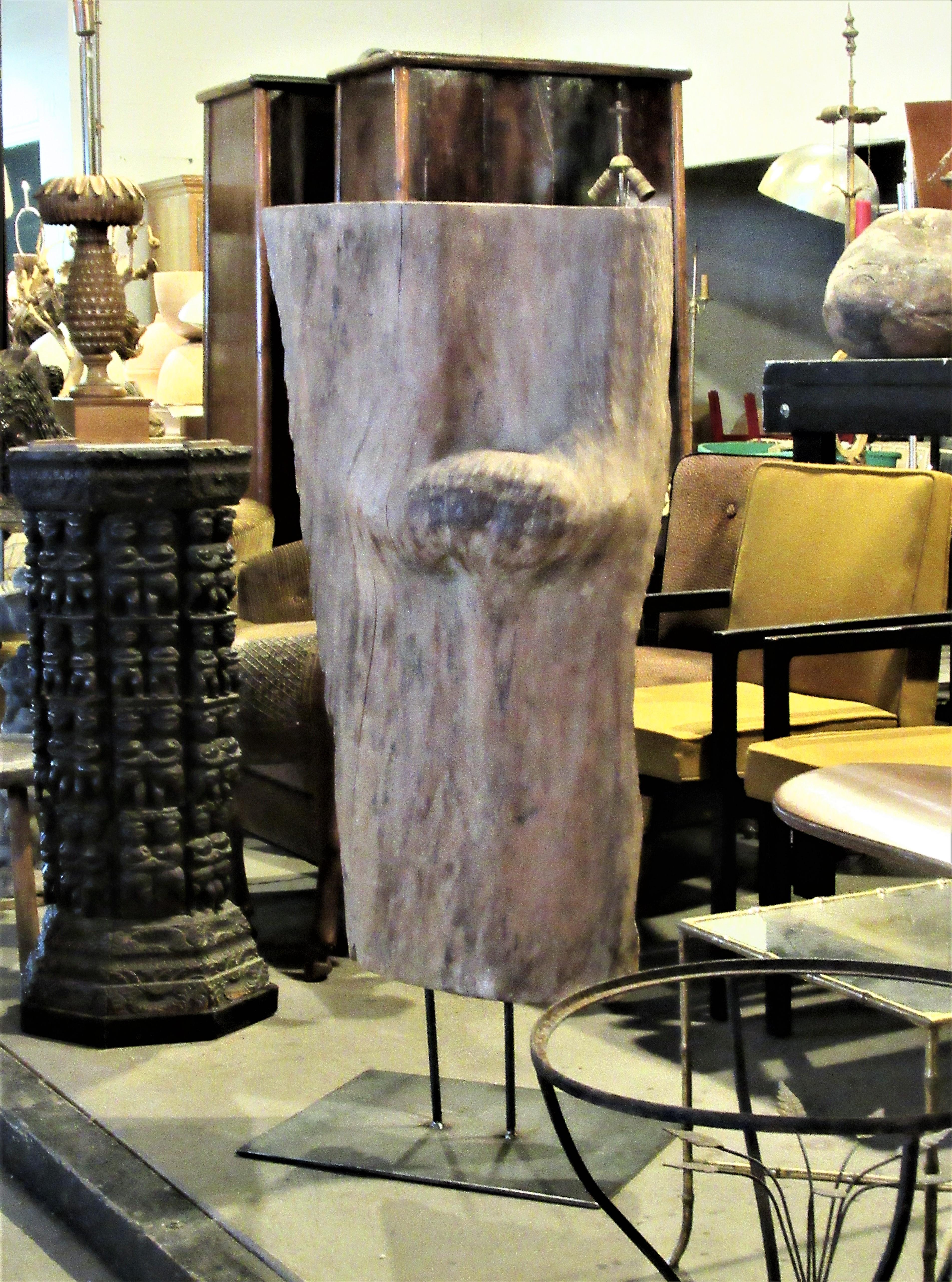 Large Old Burl Tree Trunk Mounted as Sculpture For Sale 8