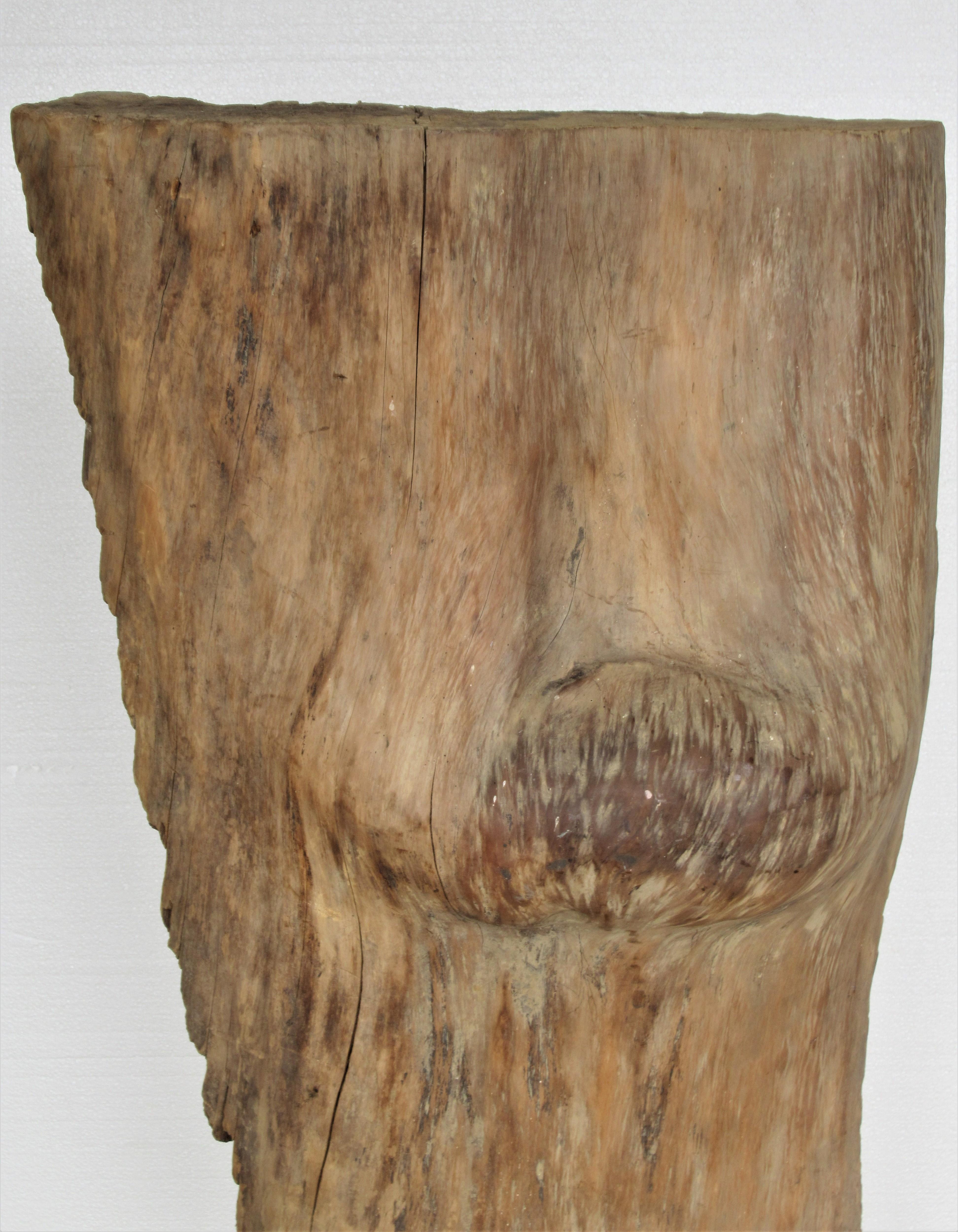 American Large Old Burl Tree Trunk Mounted as Sculpture For Sale