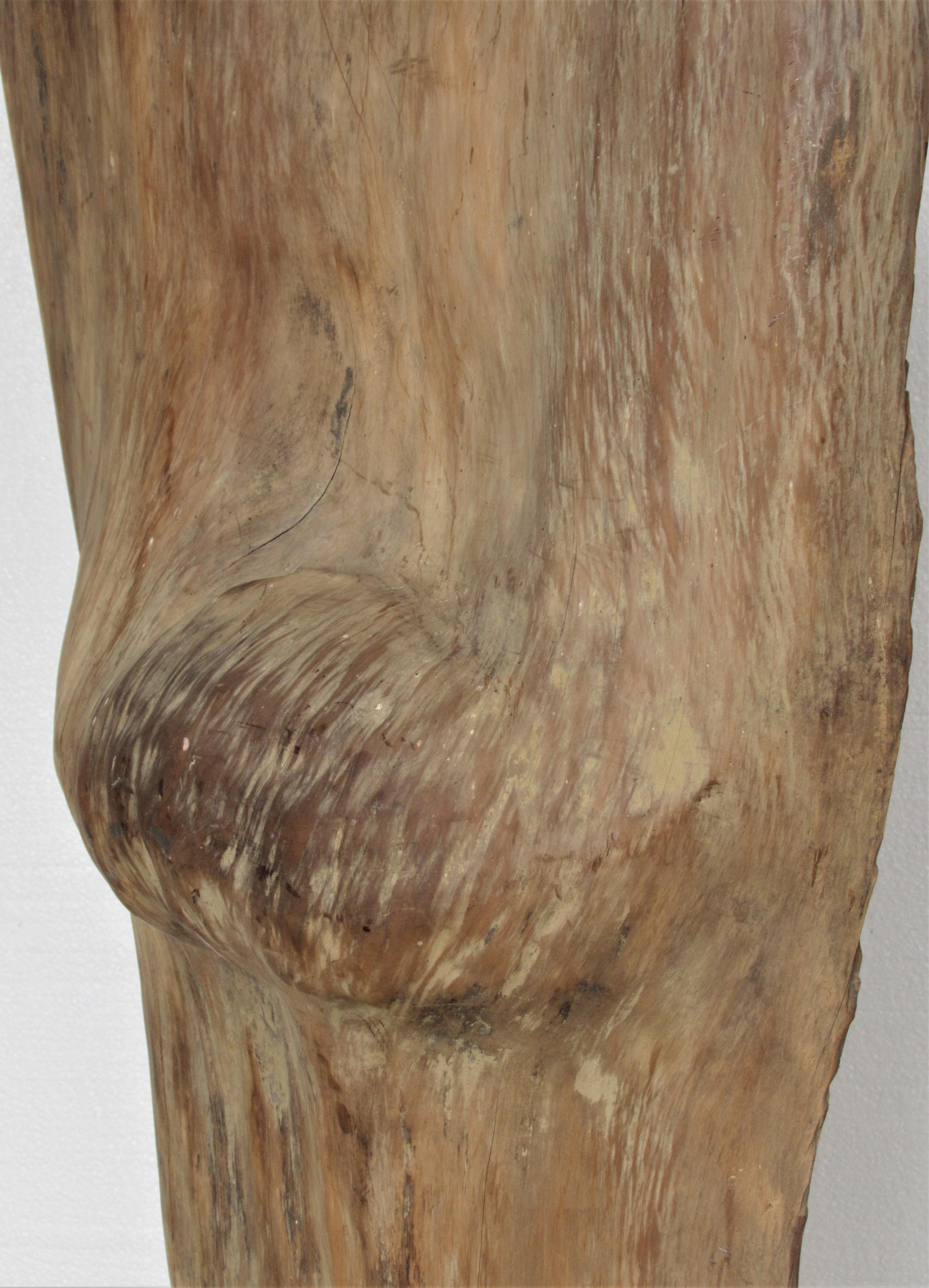 19th Century Large Old Burl Tree Trunk Mounted as Sculpture For Sale