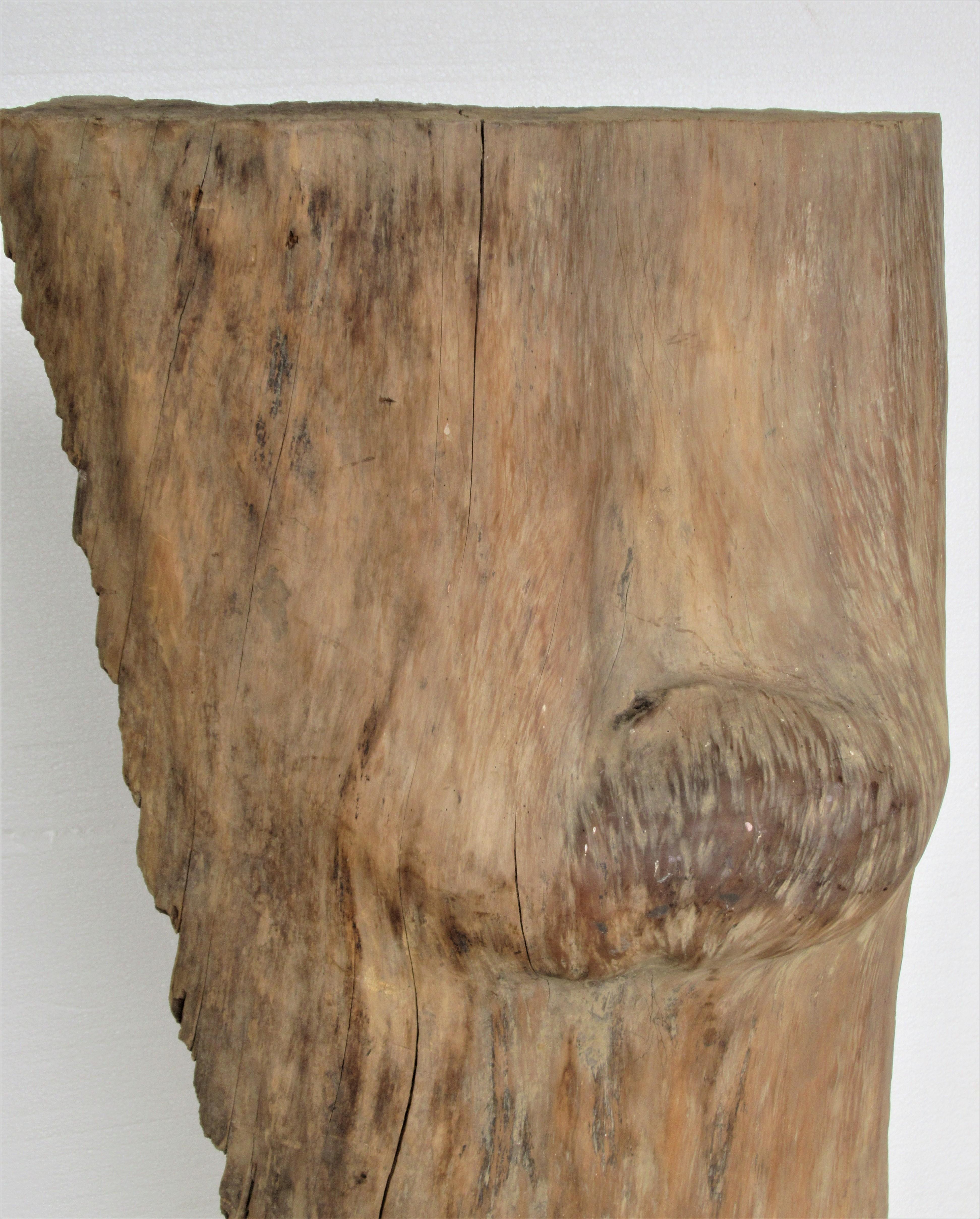 Iron Large Old Burl Tree Trunk Mounted as Sculpture For Sale