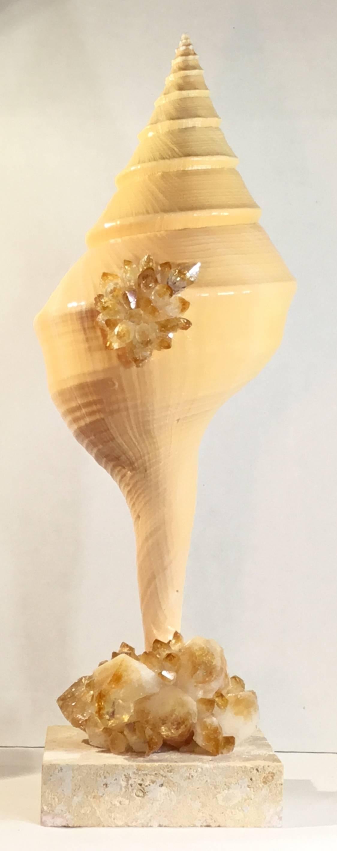 Large One of a Kind Sea Shell and Citrine Crystal For Sale 4