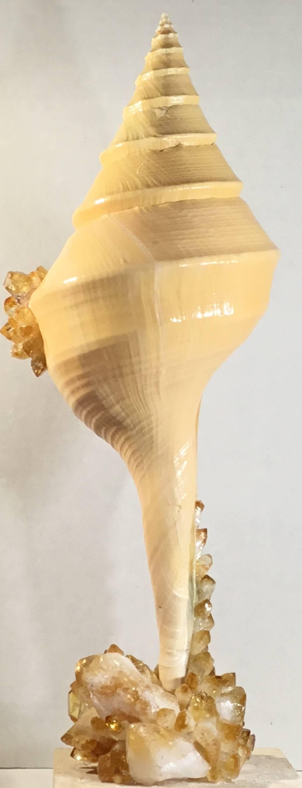 20th Century Large One of a Kind Sea Shell and Citrine Crystal For Sale