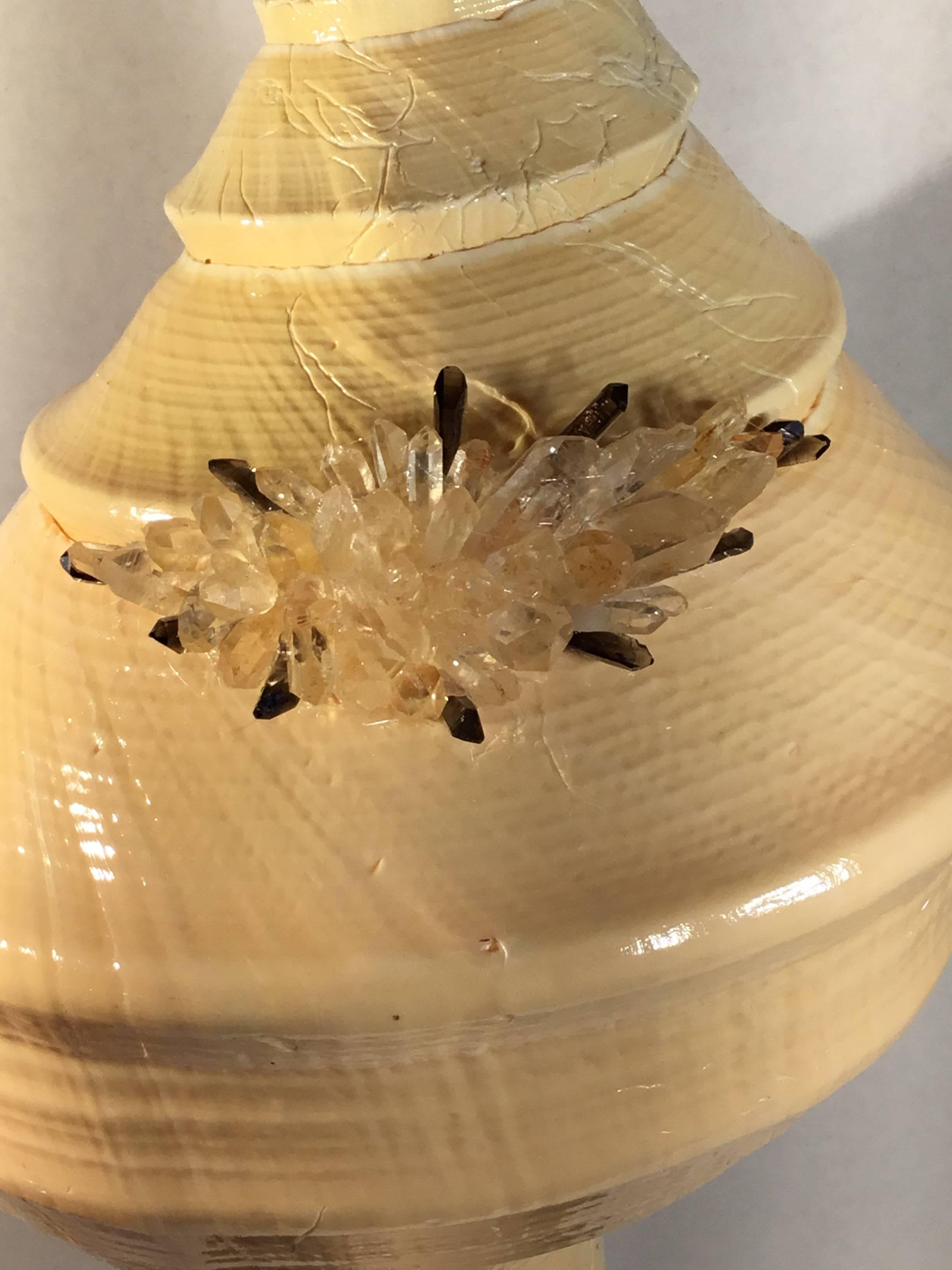 Einzigartige Muschel- und Kristall-Muschelschale im Zustand „Hervorragend“ im Angebot in Delray Beach, FL
