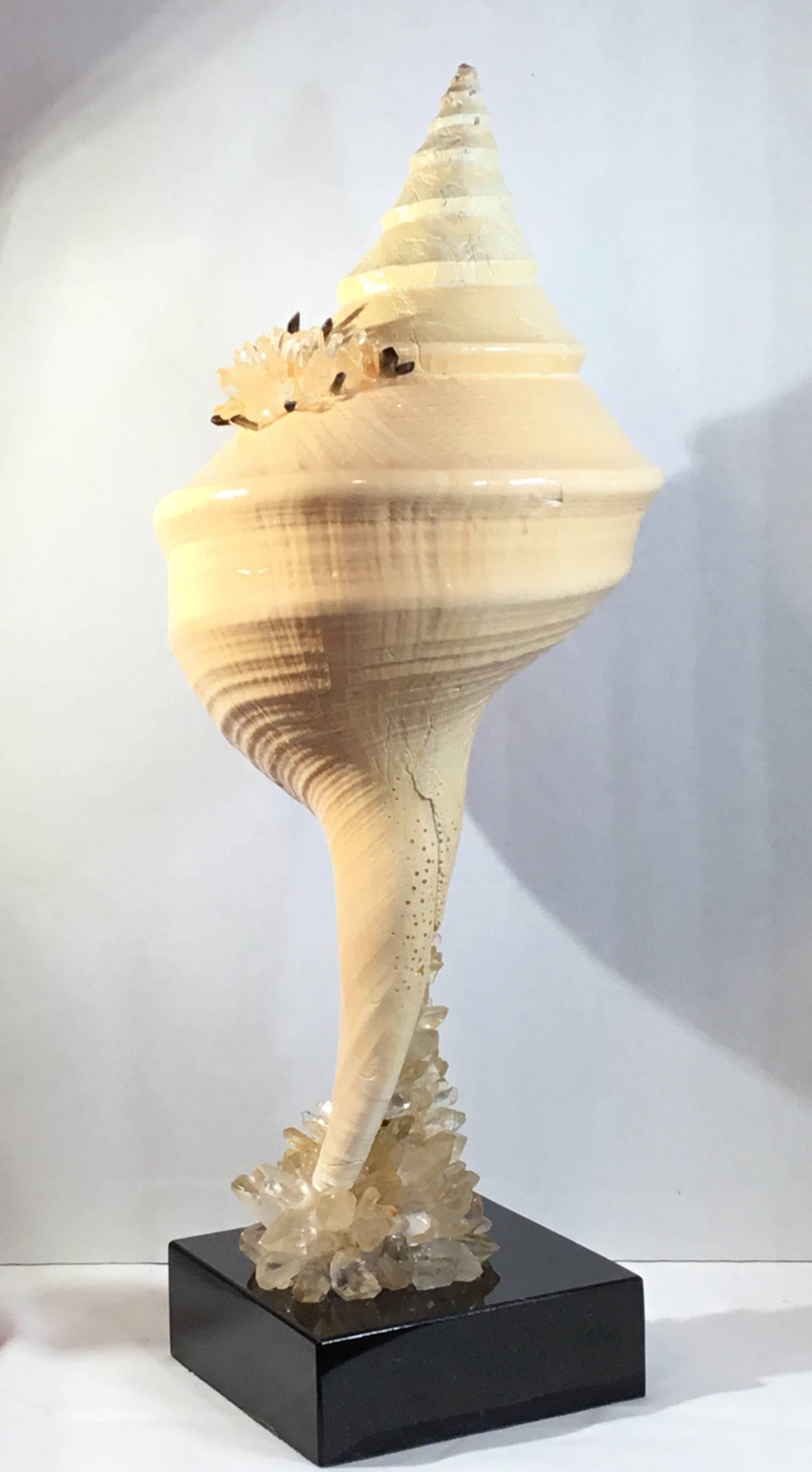20th Century Large One of a Kind Sea Shell and Crystal For Sale