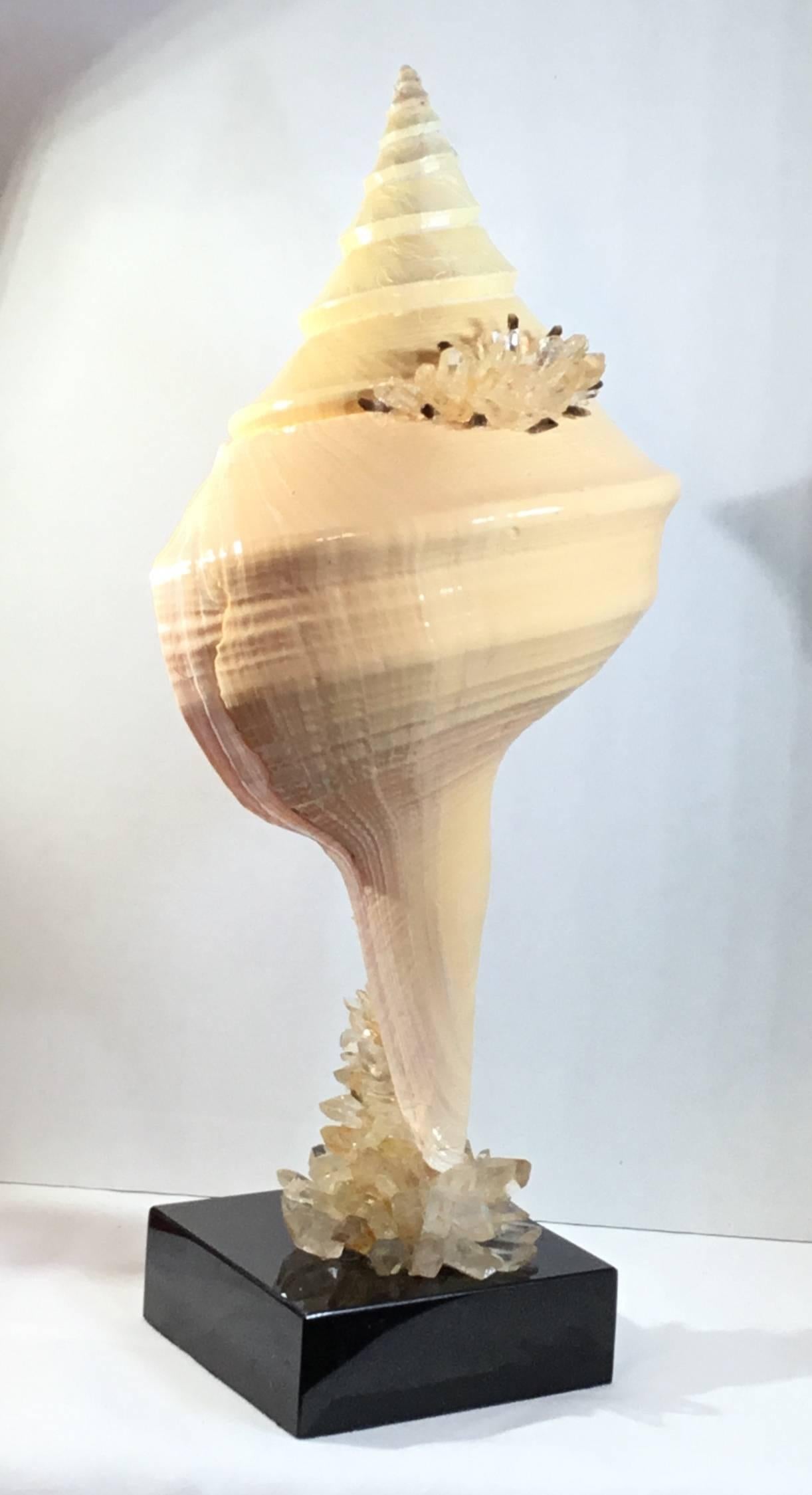 Large One of a Kind Sea Shell and Crystal For Sale 3