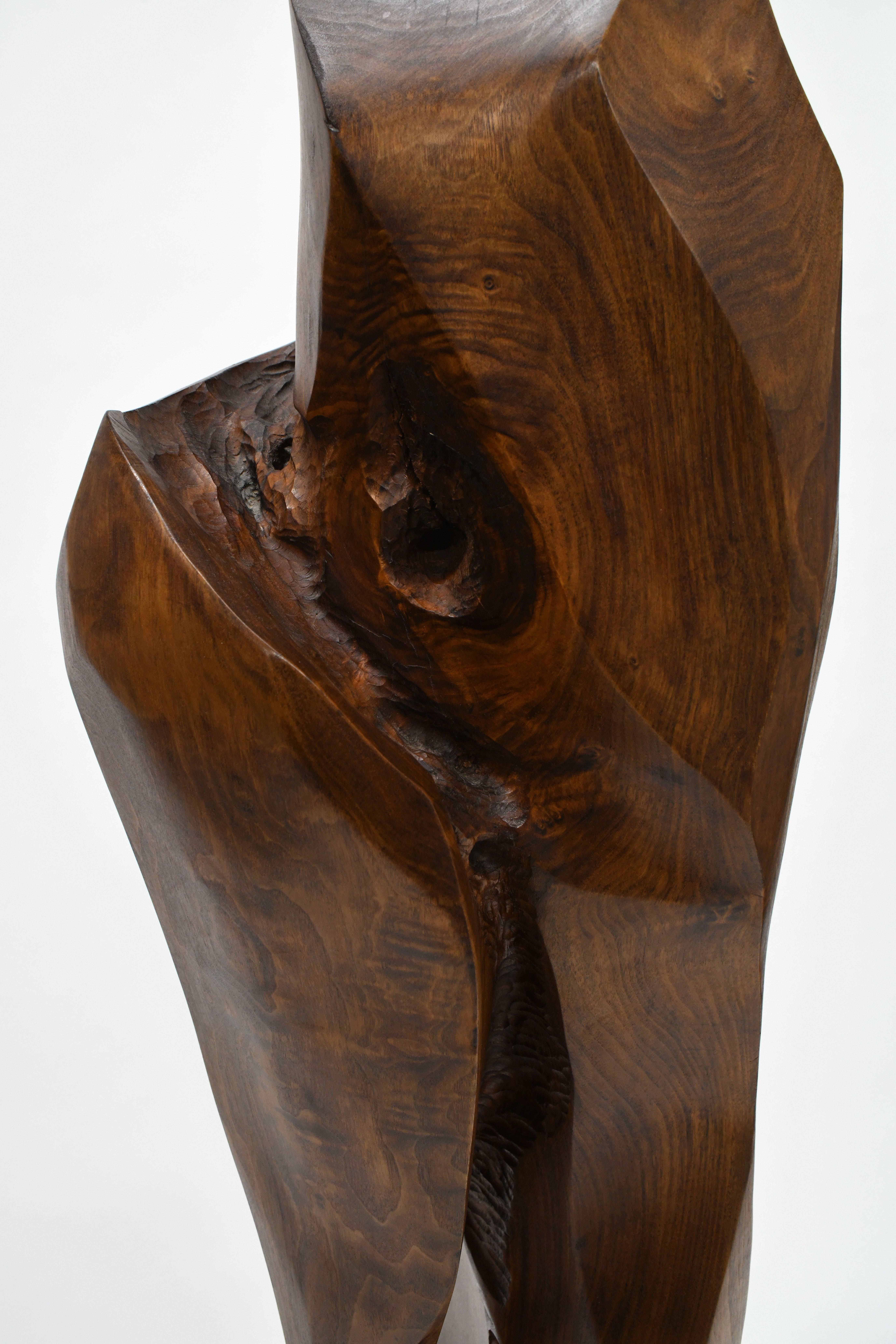 Large Organic Abstract Modern Wood Sculpture  1