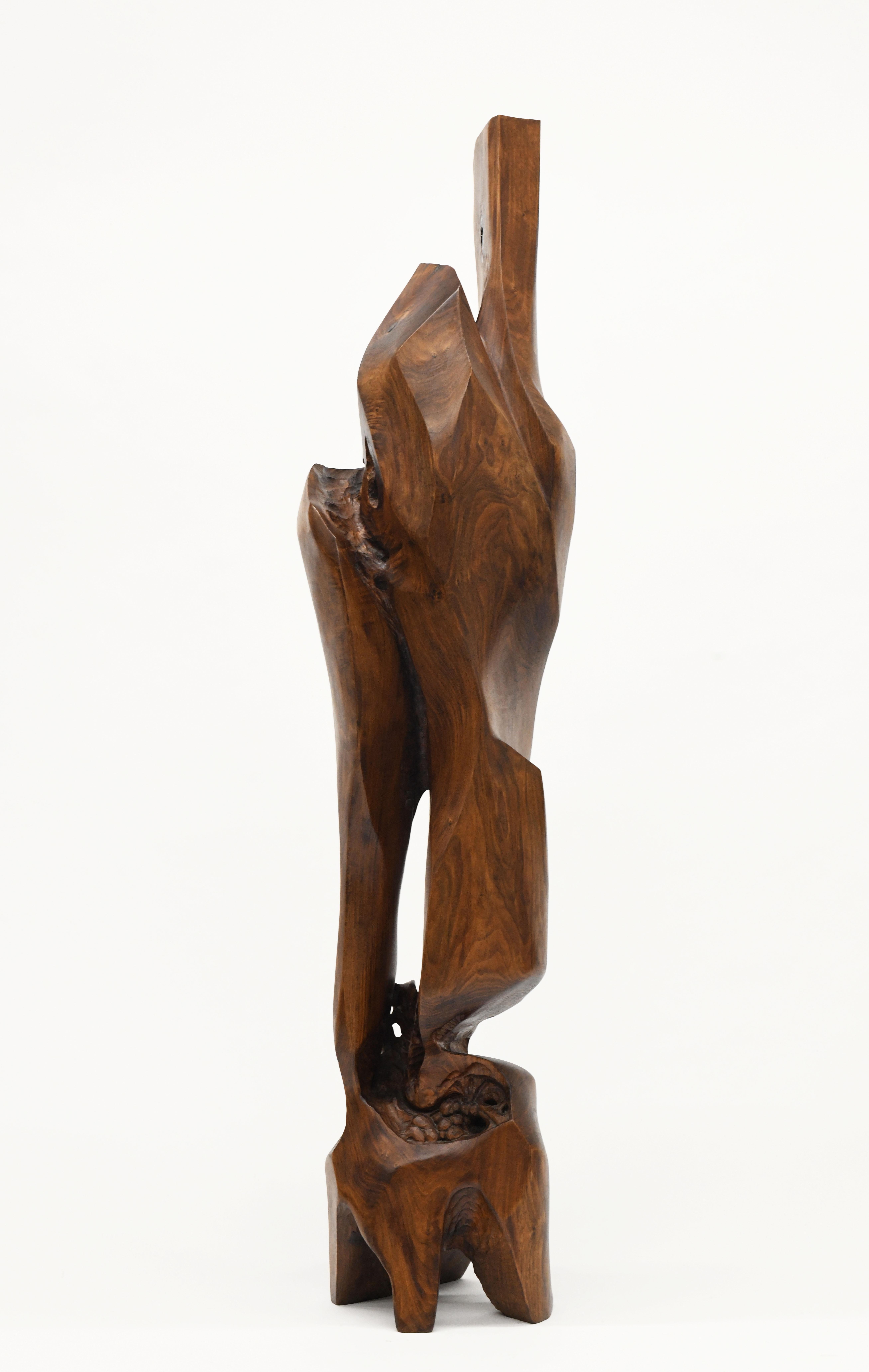 Large Organic Abstract Modern Wood Sculpture 3