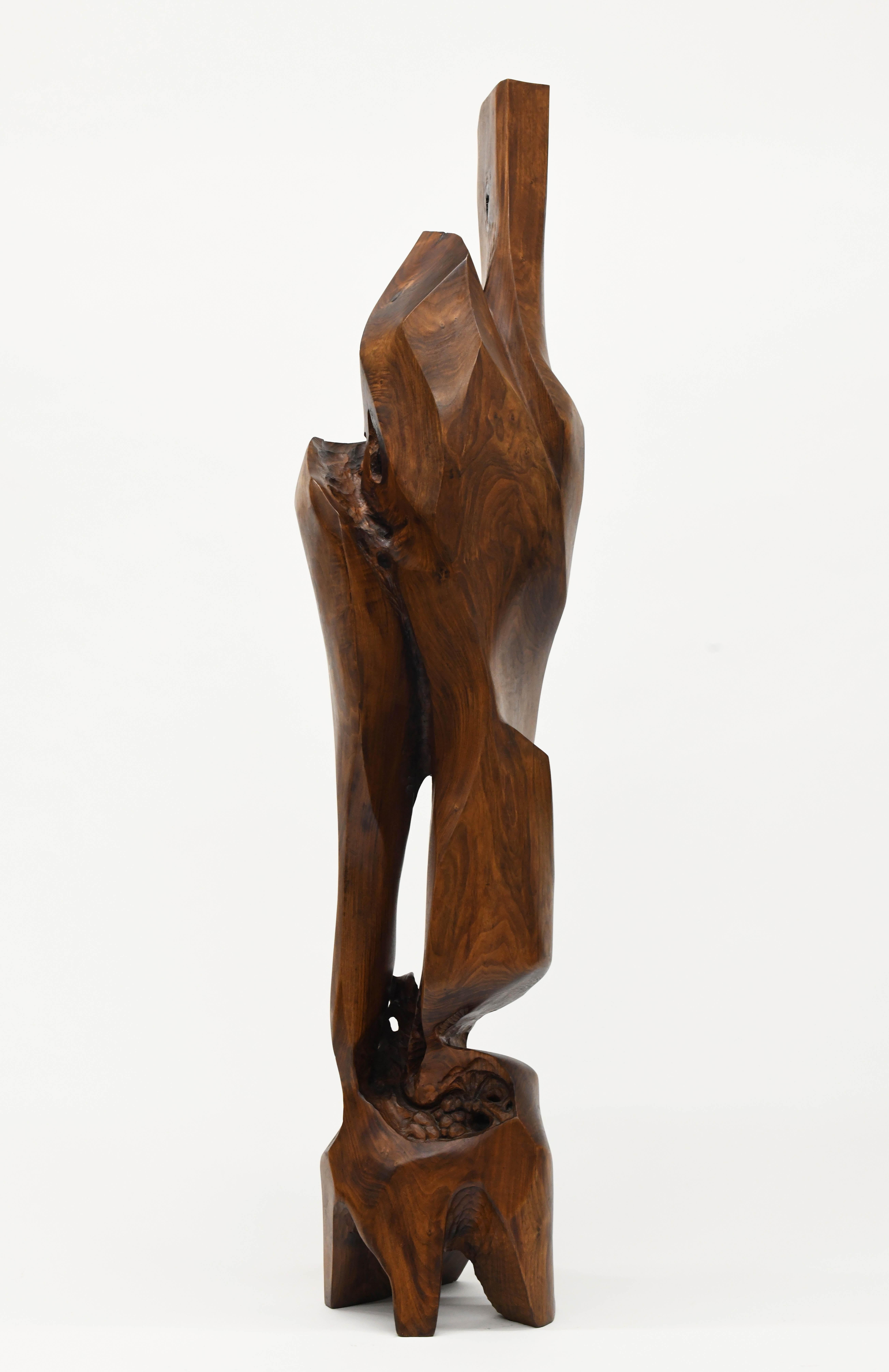 Large Organic Abstract Modern Wood Sculpture  4