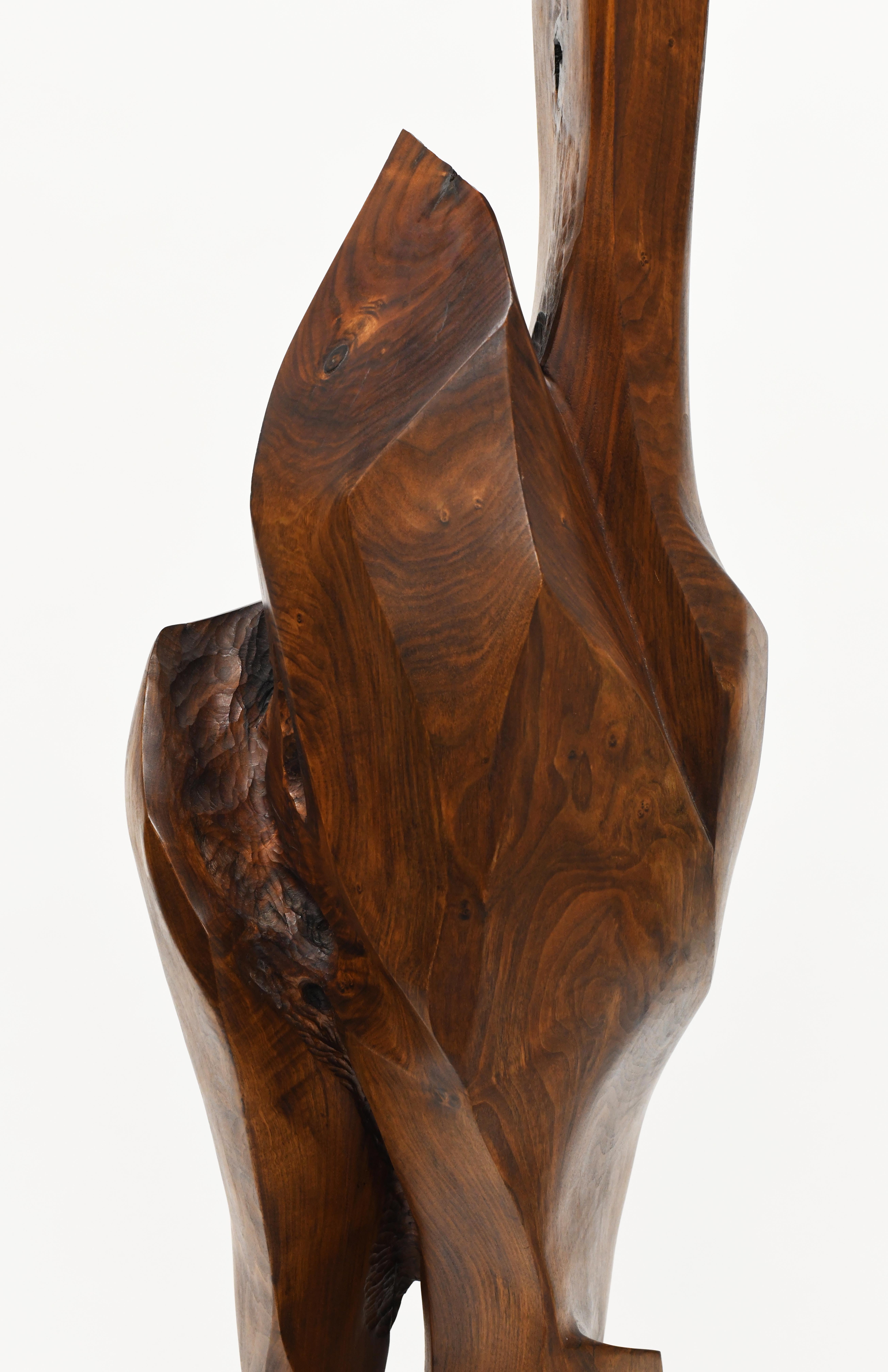 Large Organic Abstract Modern Wood Sculpture 5