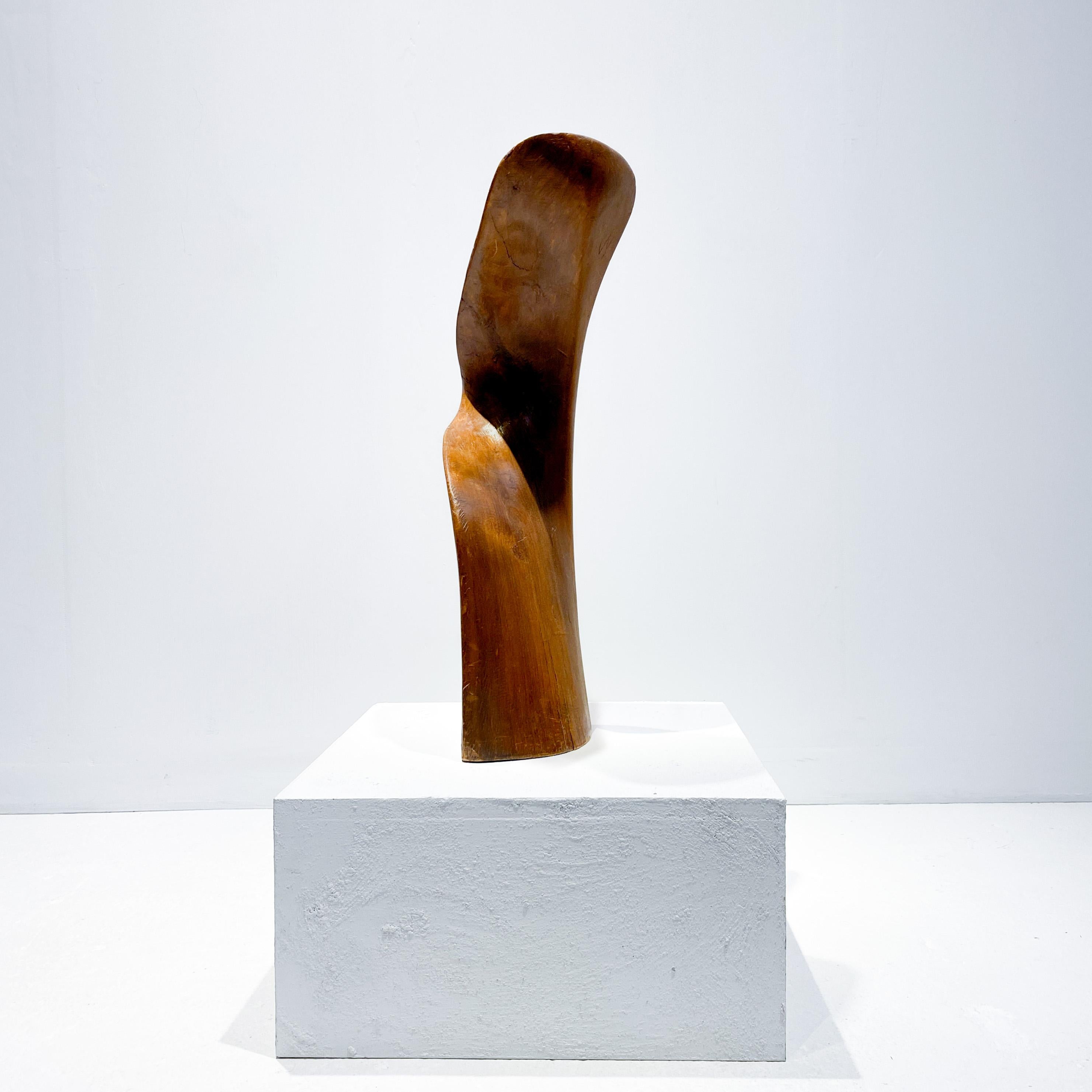 Grande sculpture abstraite organique, bois sculpté à la main, années 1970, style Jean Arp Bon état - En vente à AMSTERDAM, NL
