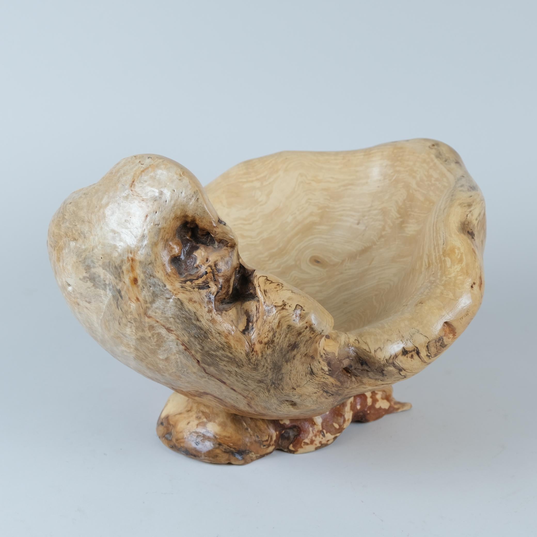 Cuenco grande de nudo orgánico de Tauno Kiukas, Finlandia 2013 en venta 3