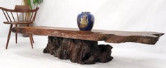 Large Organic Live Edge Coffee Table
