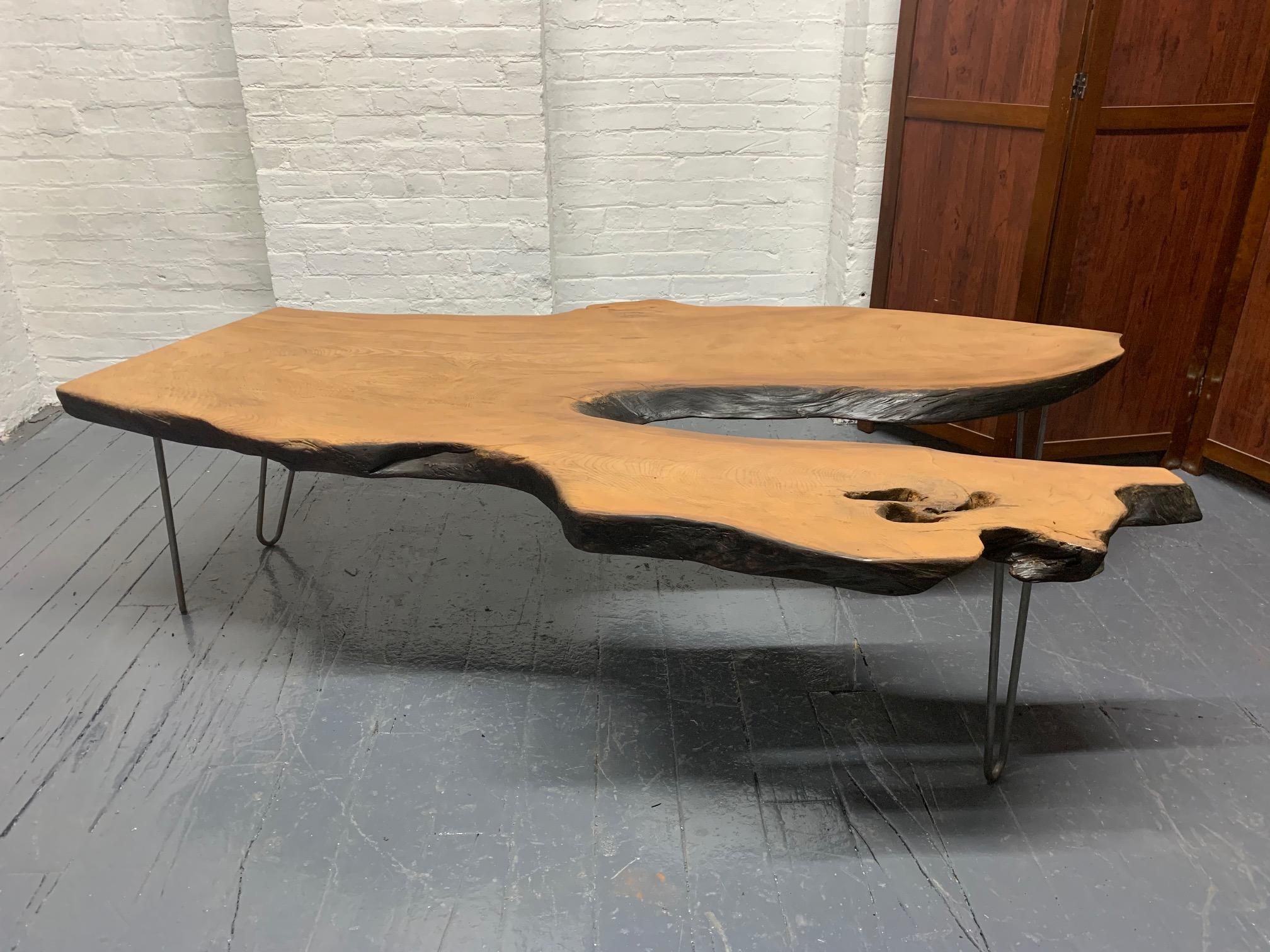 Large, organic, cherrywood live edge coffee table. Solid top with metal hairpin legs. Nakashima style.