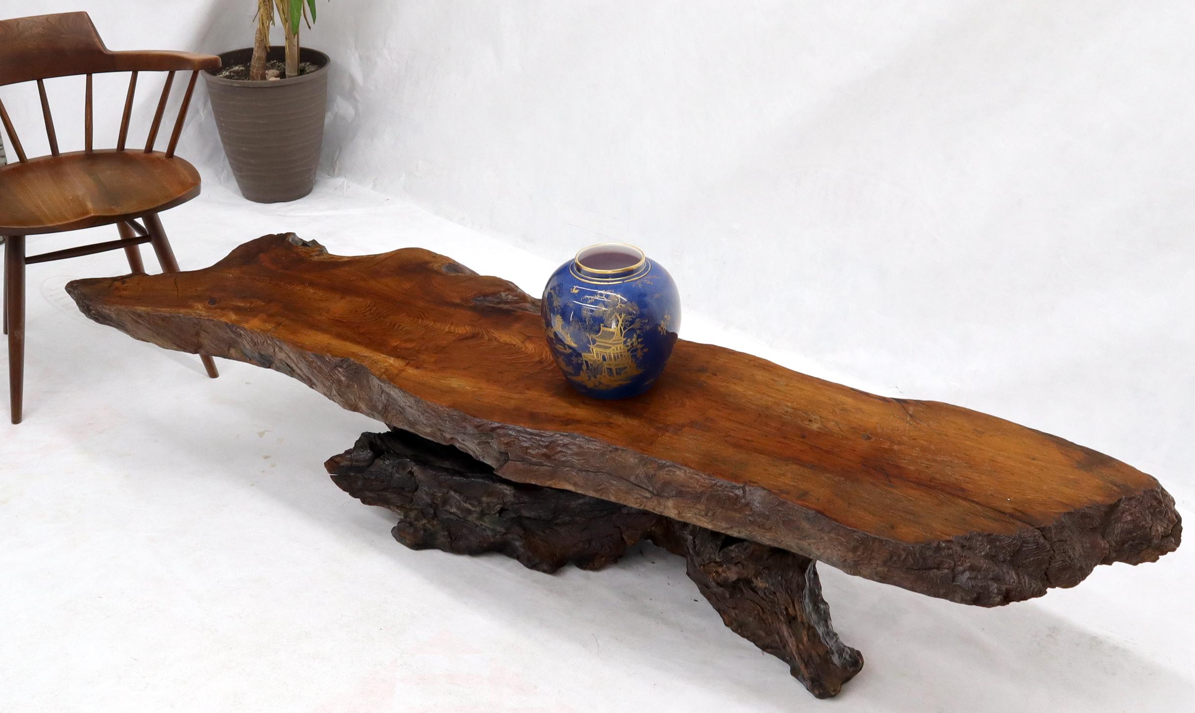 Varnished Large Organic Live Edge Coffee Table