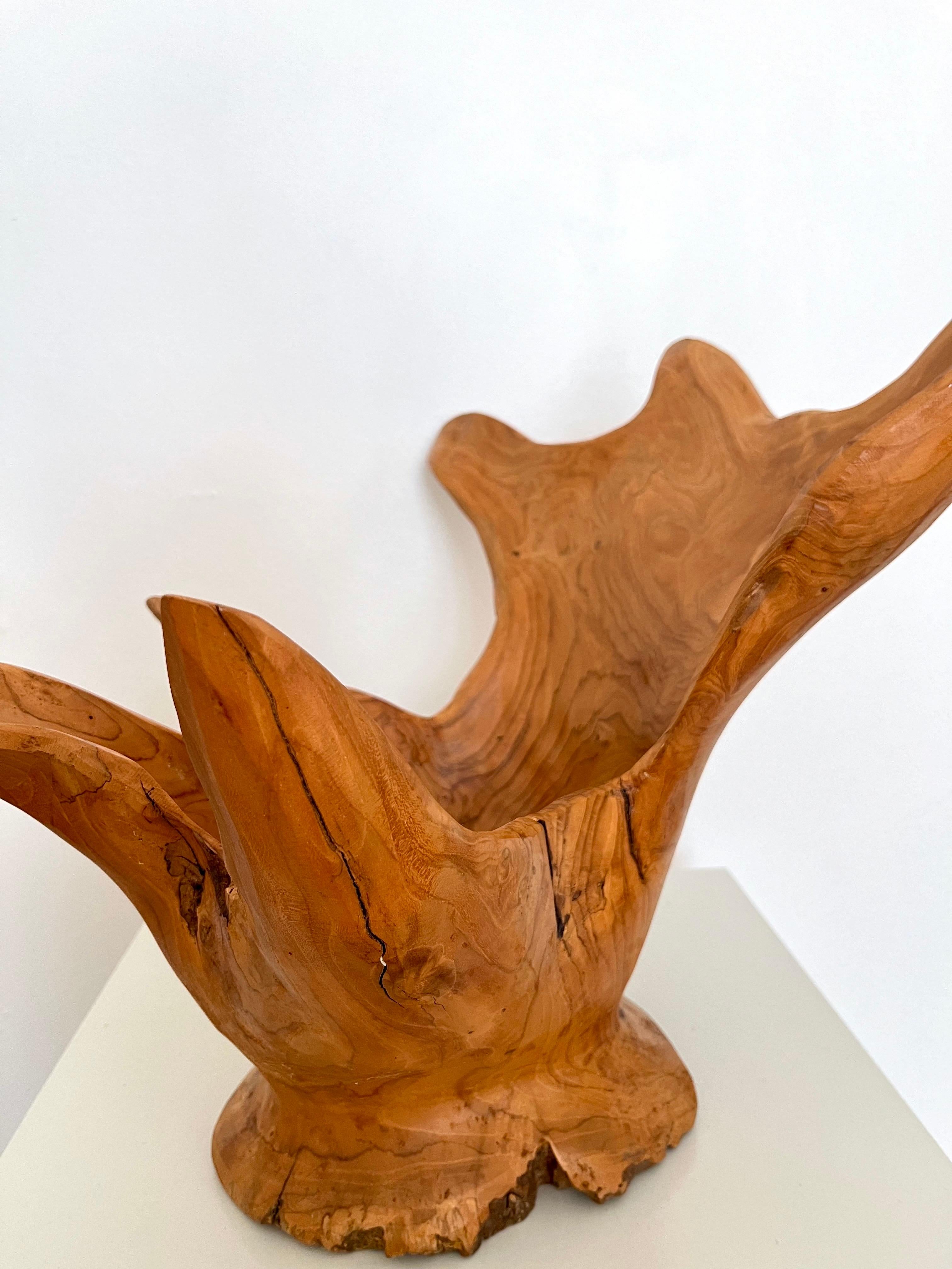 Grand bol sculpté en ronce de bois organique et moderne, Indonésie, 1970 en vente 3