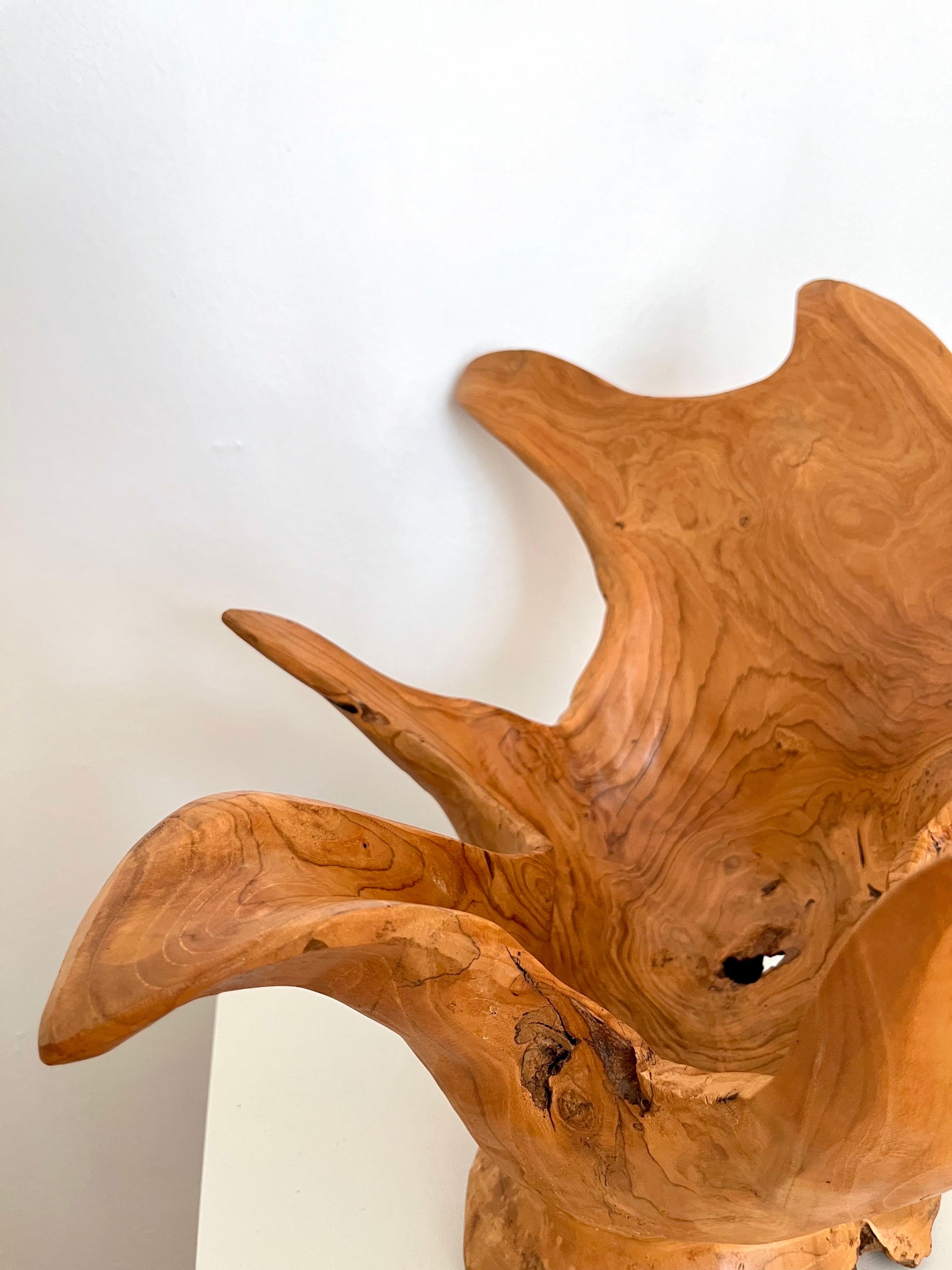 Grand bol sculpté en ronce de bois organique et moderne, Indonésie, 1970 en vente 4