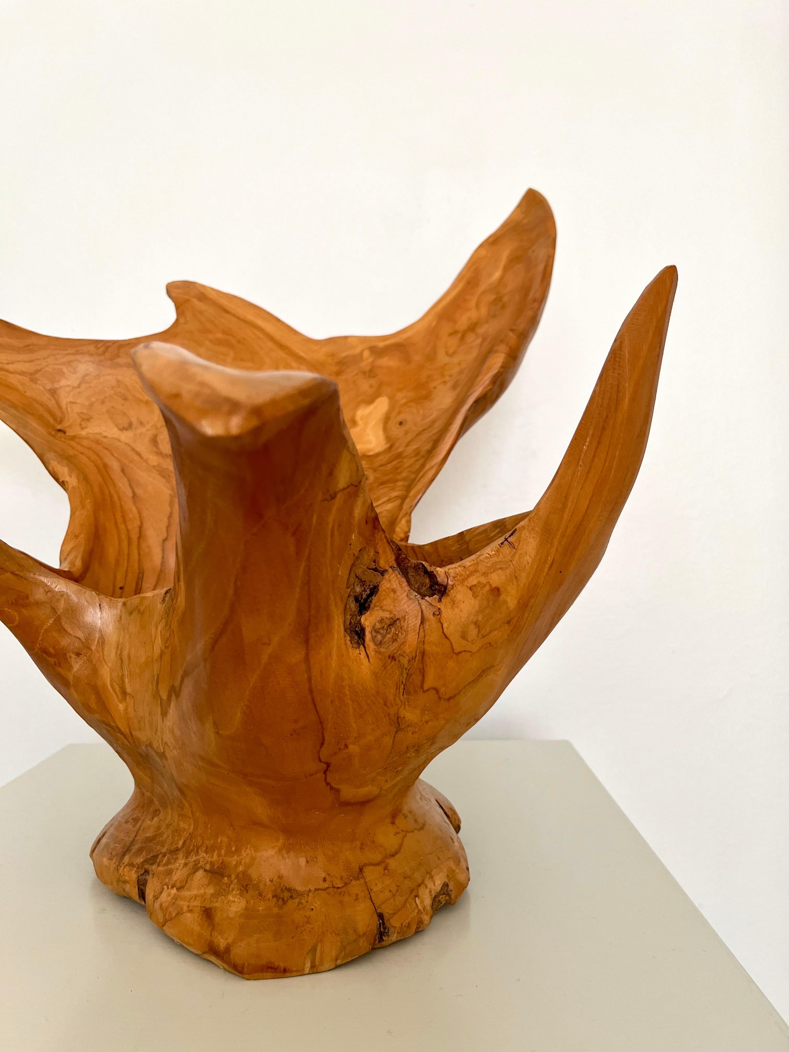 Grand bol sculpté en ronce de bois organique et moderne, Indonésie, 1970 en vente 6