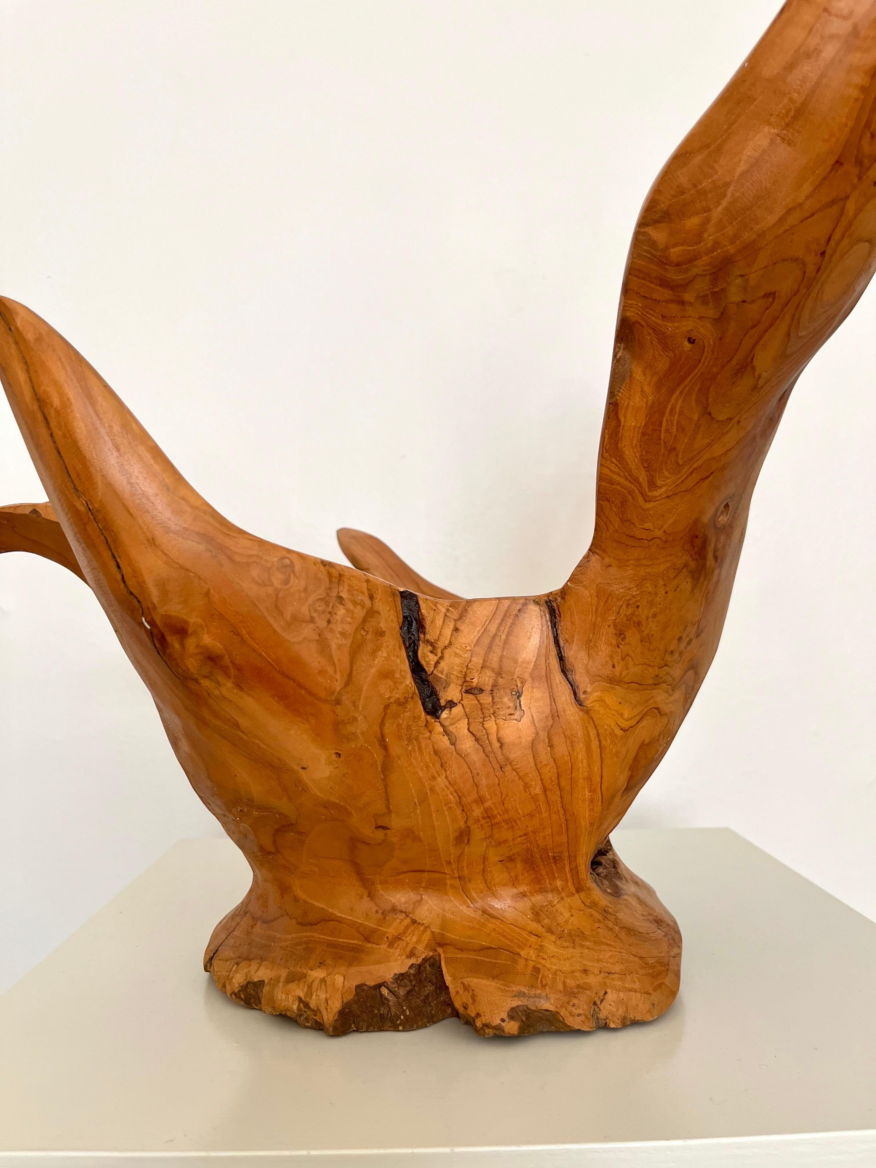 Grand bol sculpté en ronce de bois organique et moderne, Indonésie, 1970 en vente 9