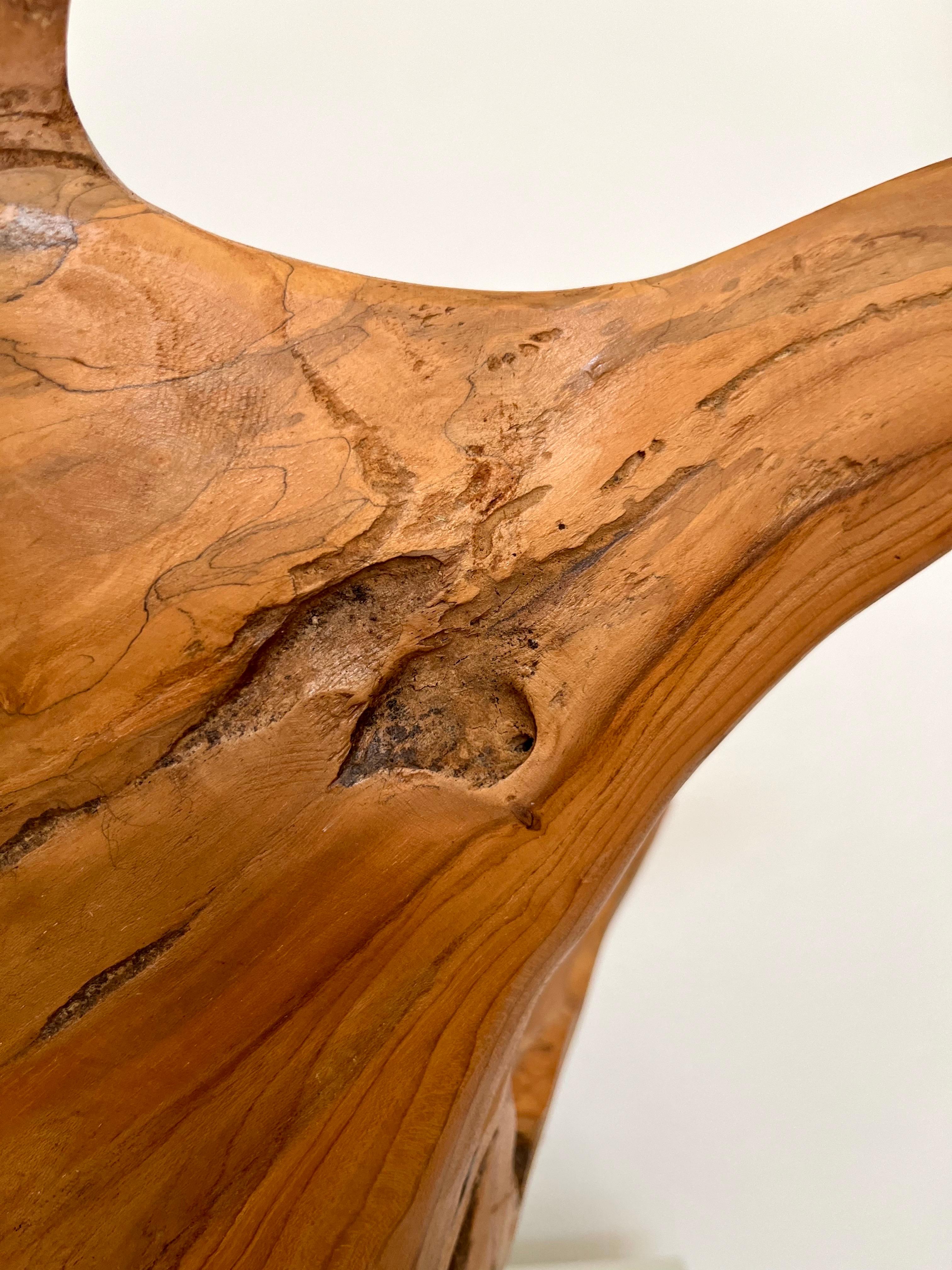 Grand bol sculpté en ronce de bois organique et moderne, Indonésie, 1970 en vente 10