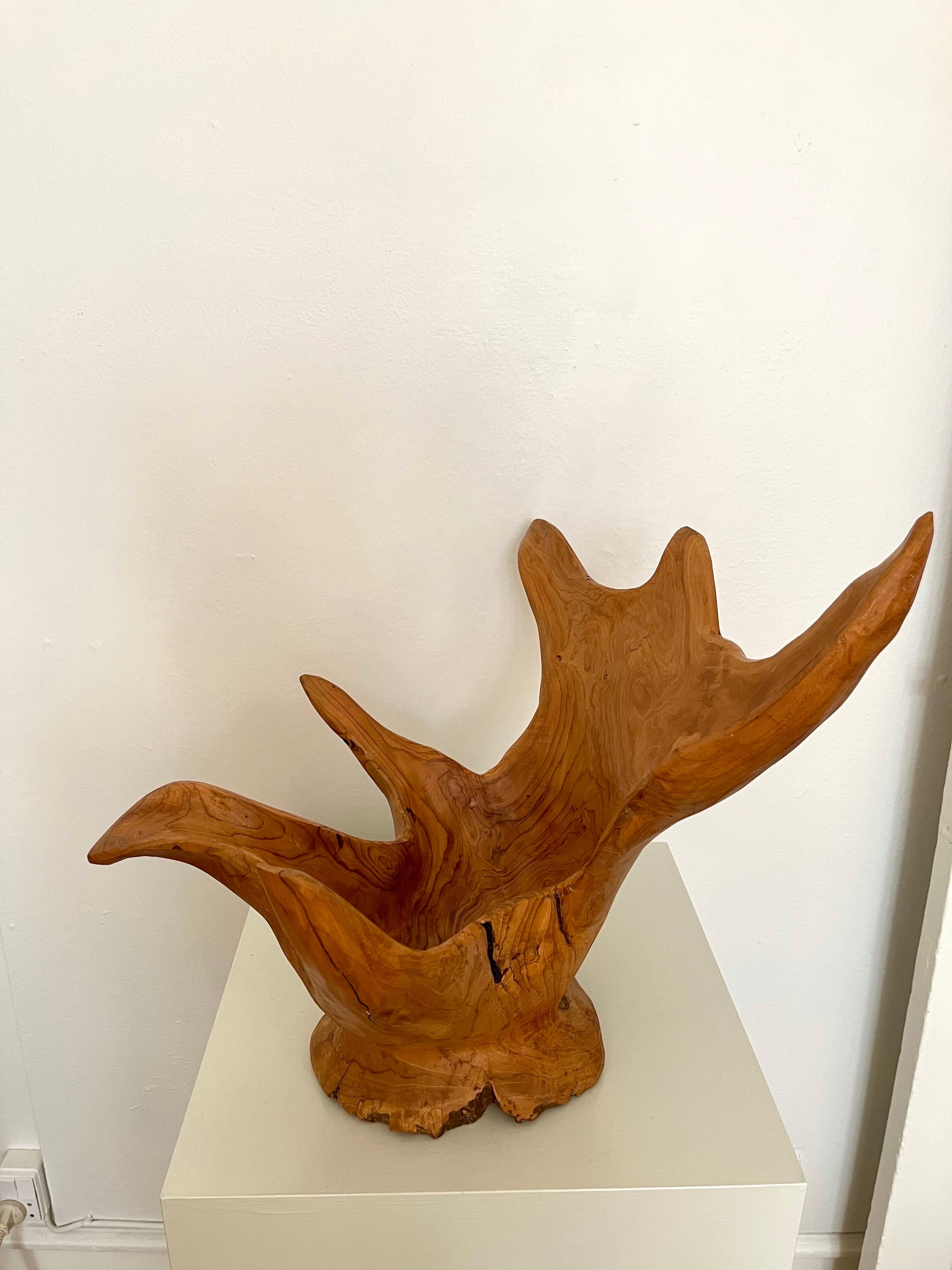 Sculpté à la main Grand bol sculpté en ronce de bois organique et moderne, Indonésie, 1970 en vente