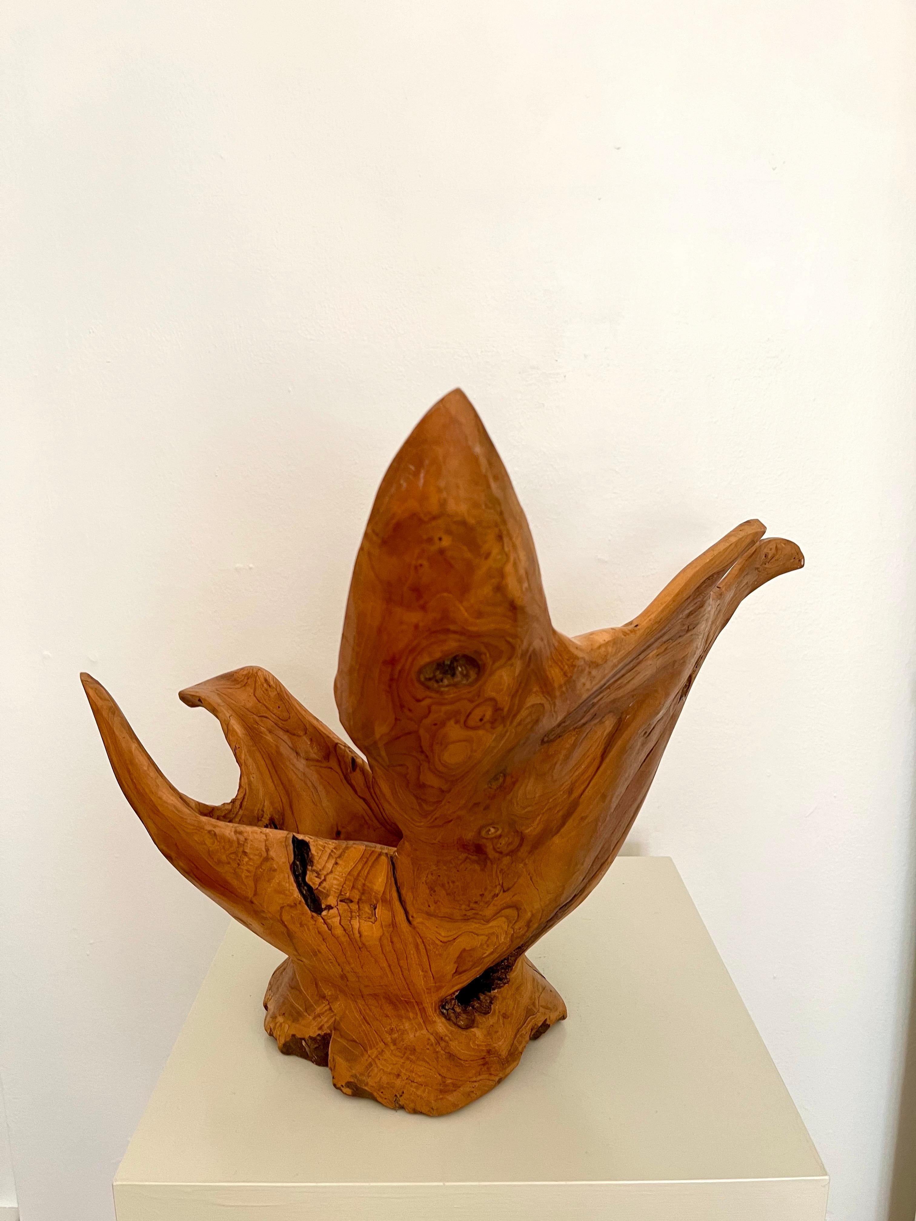 Fin du 20e siècle Grand bol sculpté en ronce de bois organique et moderne, Indonésie, 1970 en vente