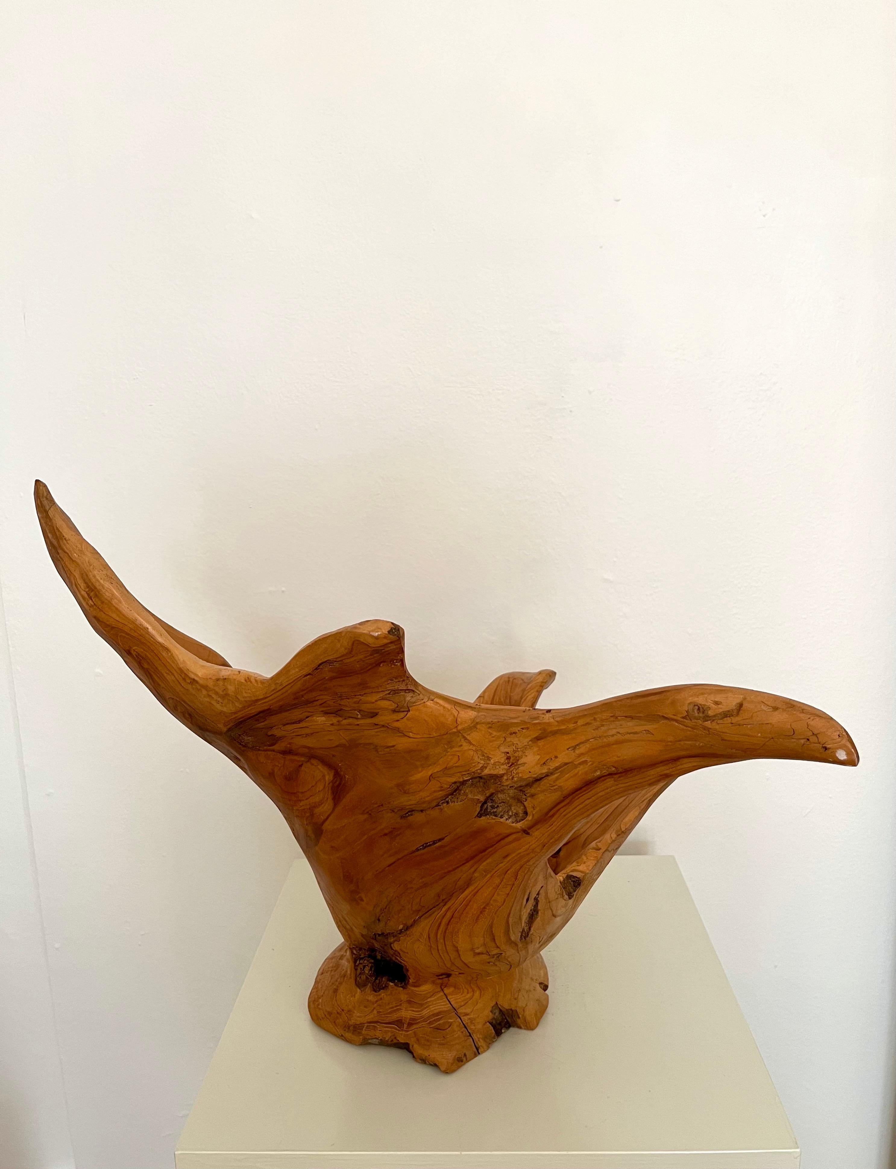 Grand bol sculpté en ronce de bois organique et moderne, Indonésie, 1970 en vente 1