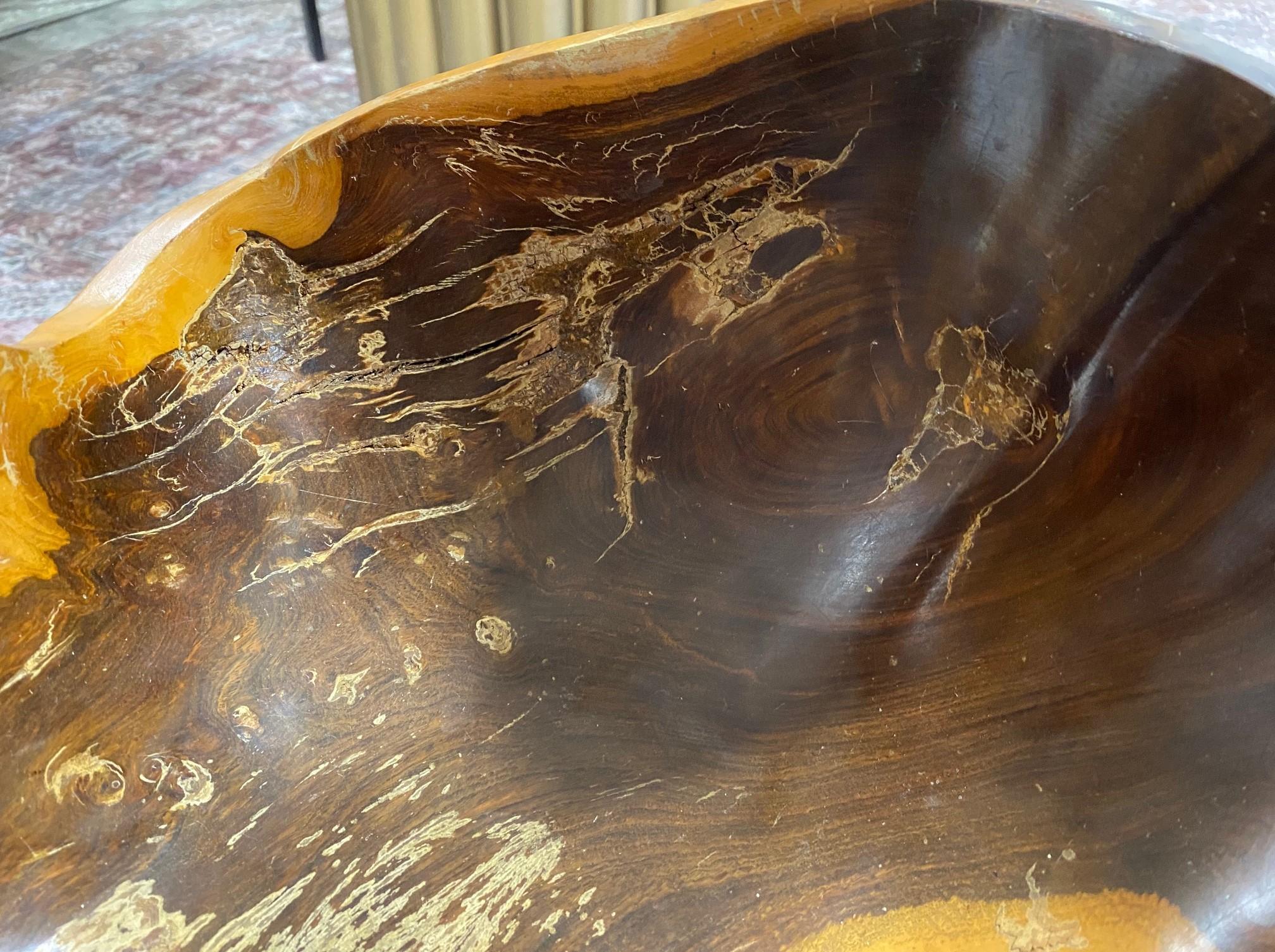 Large Organic Natural Free Form Live Edge Sculptural Root Wood Bowl 6