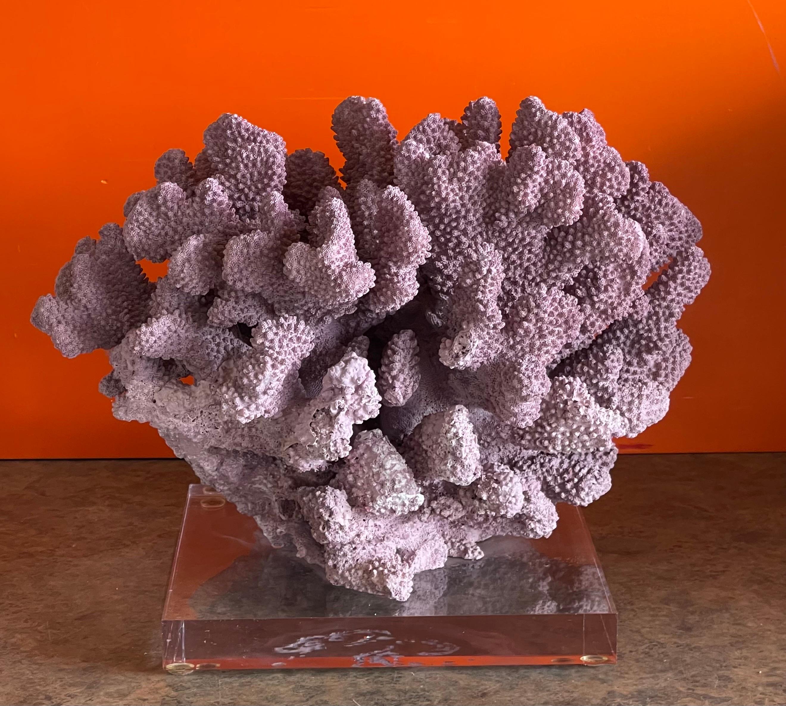 Large Organic Pink Coral Sculptural Specimen on Lucite Base For Sale 3