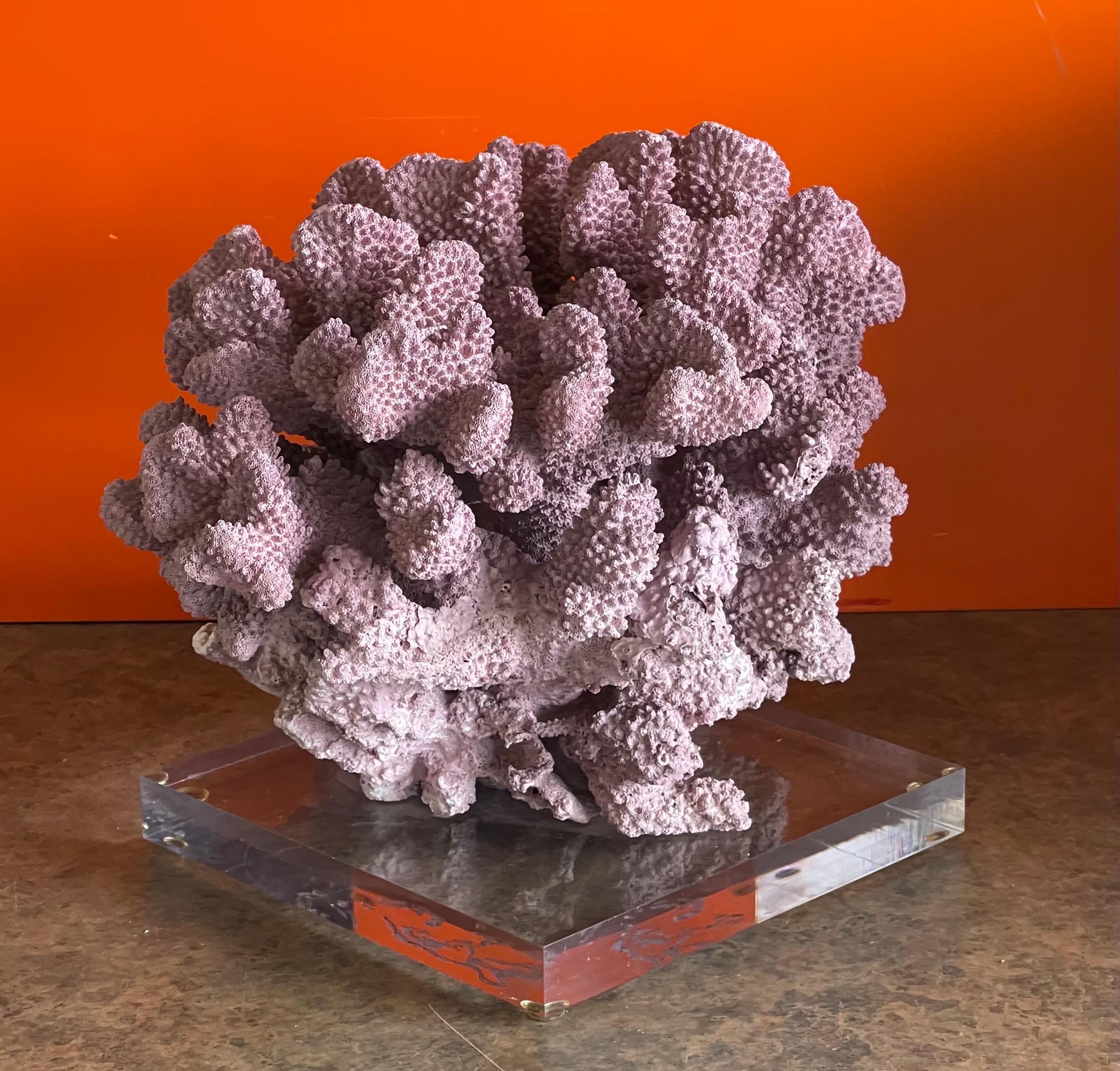Large Organic Pink Coral Sculptural Specimen on Lucite Base For Sale 4