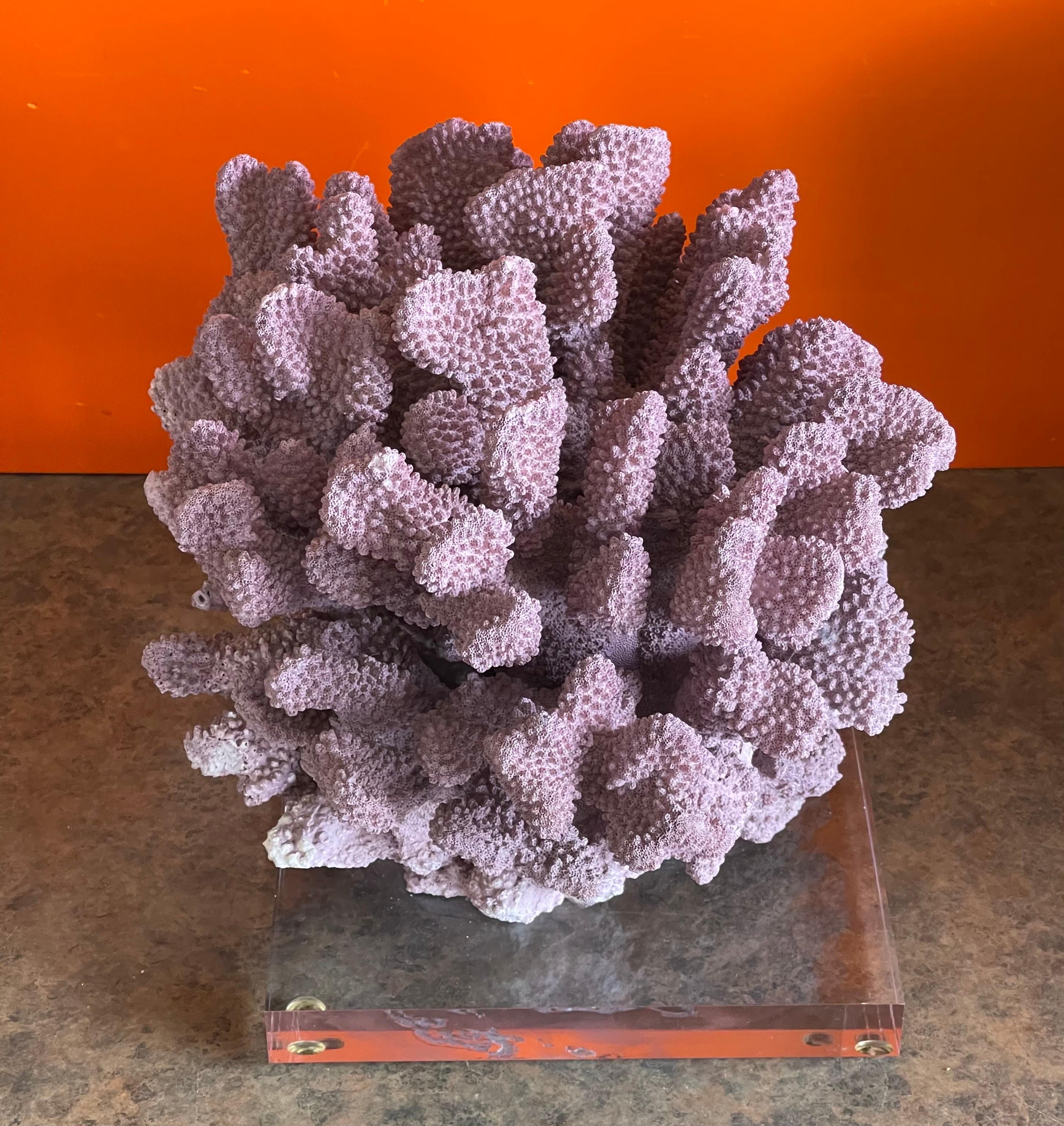 Large Organic Pink Coral Sculptural Specimen on Lucite Base For Sale 5