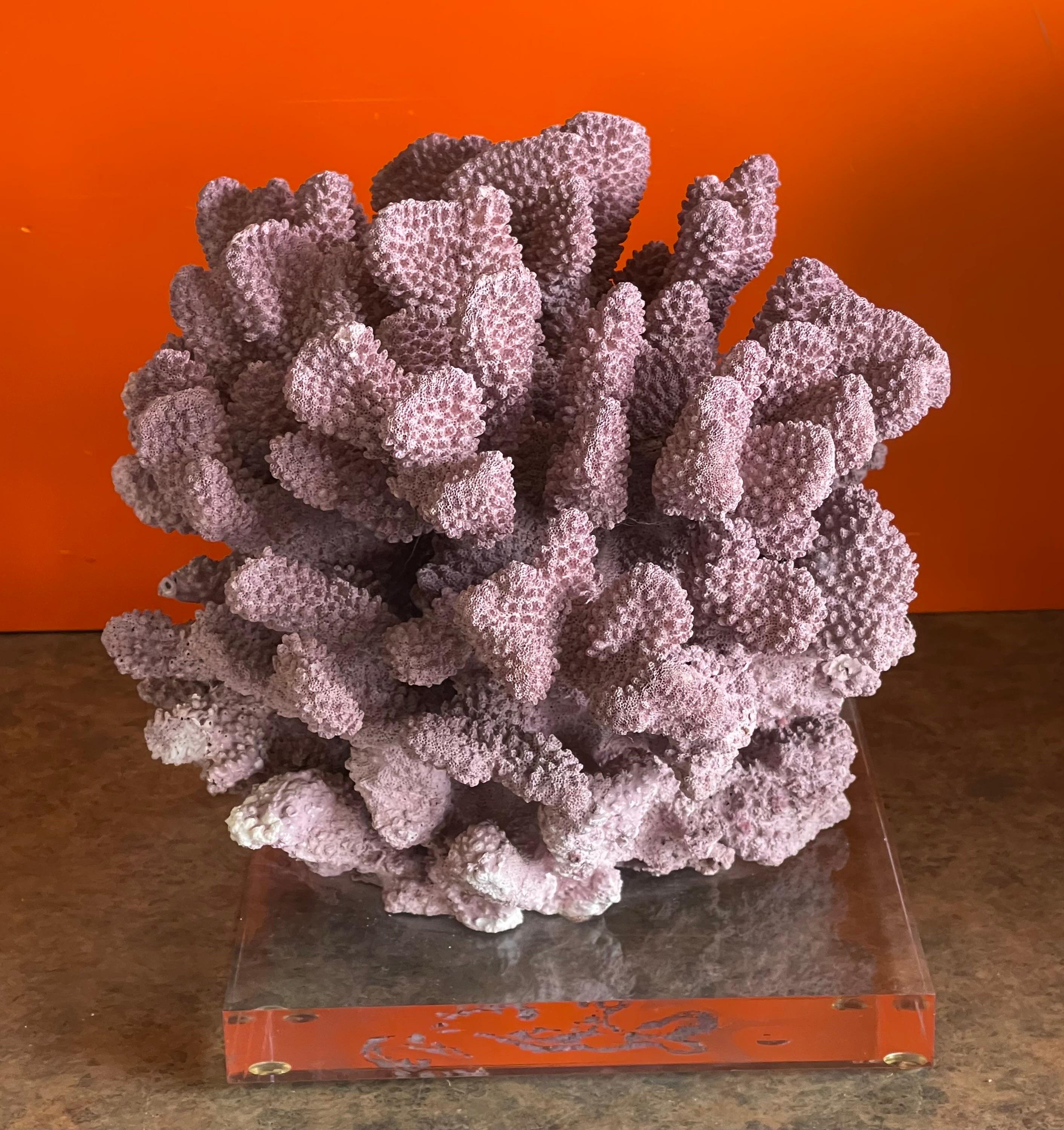 Large Organic Pink Coral Sculptural Specimen on Lucite Base For Sale 6