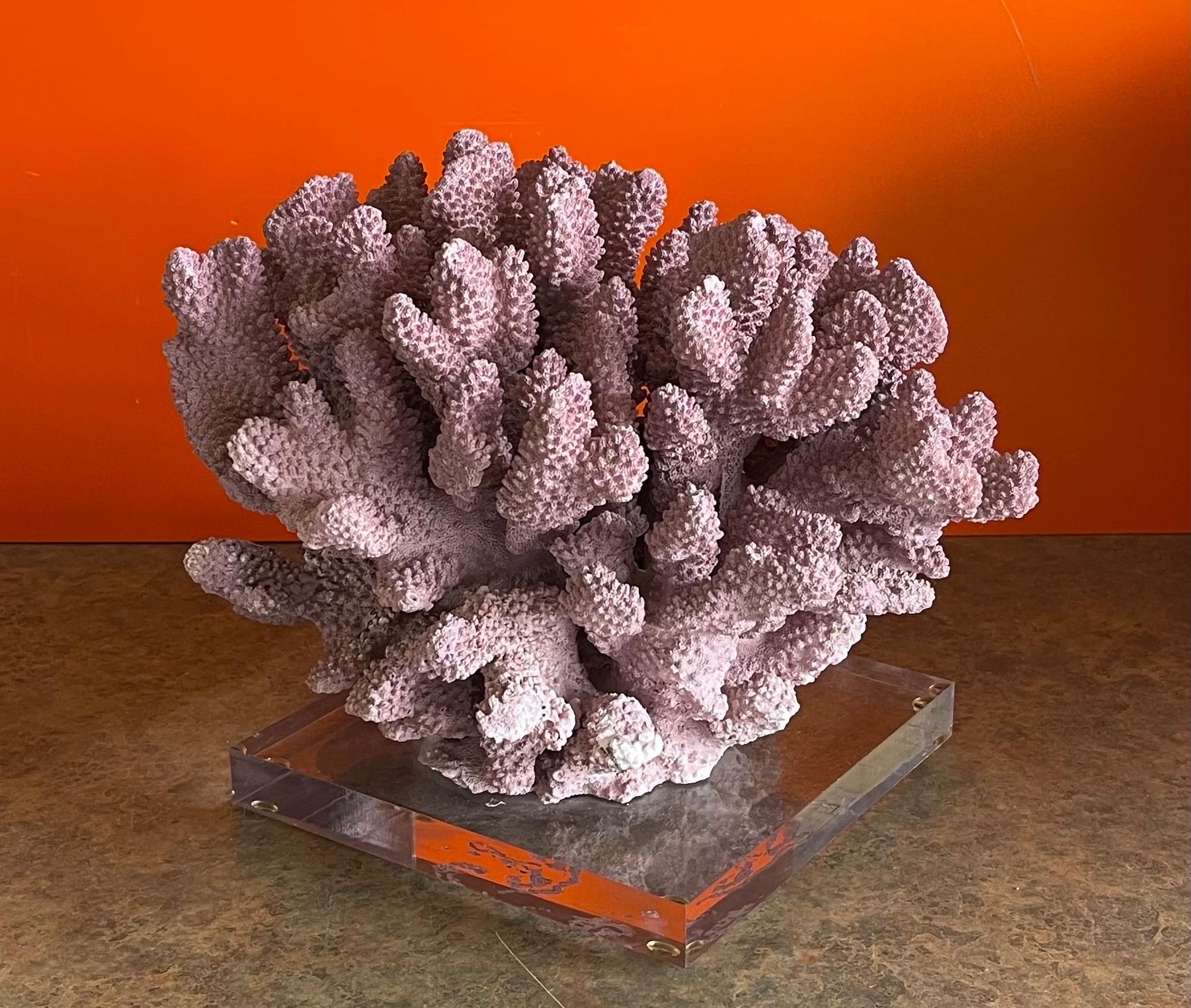 Large Organic Pink Coral Sculptural Specimen on Lucite Base For Sale 7