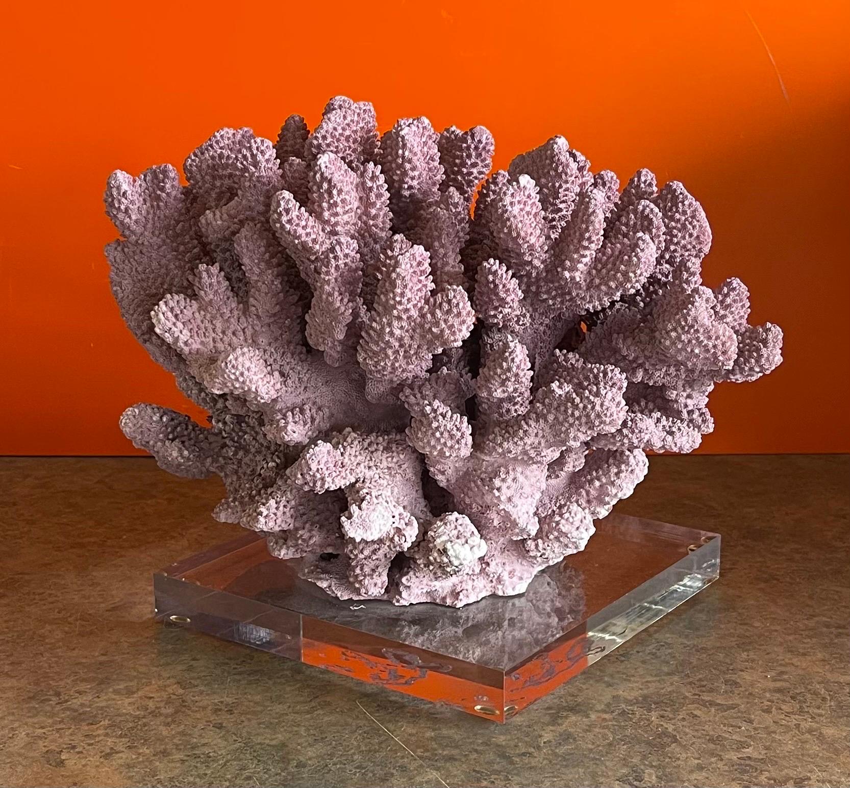 Large Organic Pink Coral Sculptural Specimen on Lucite Base For Sale 8