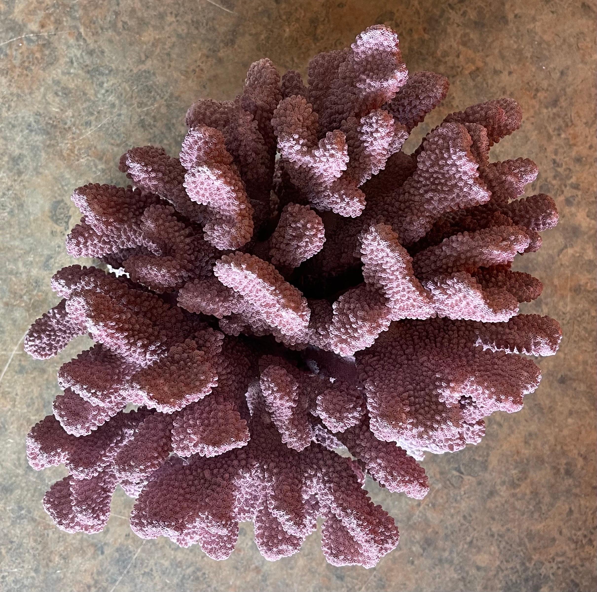 Large Organic Pink Coral Sculptural Specimen on Lucite Base For Sale 9