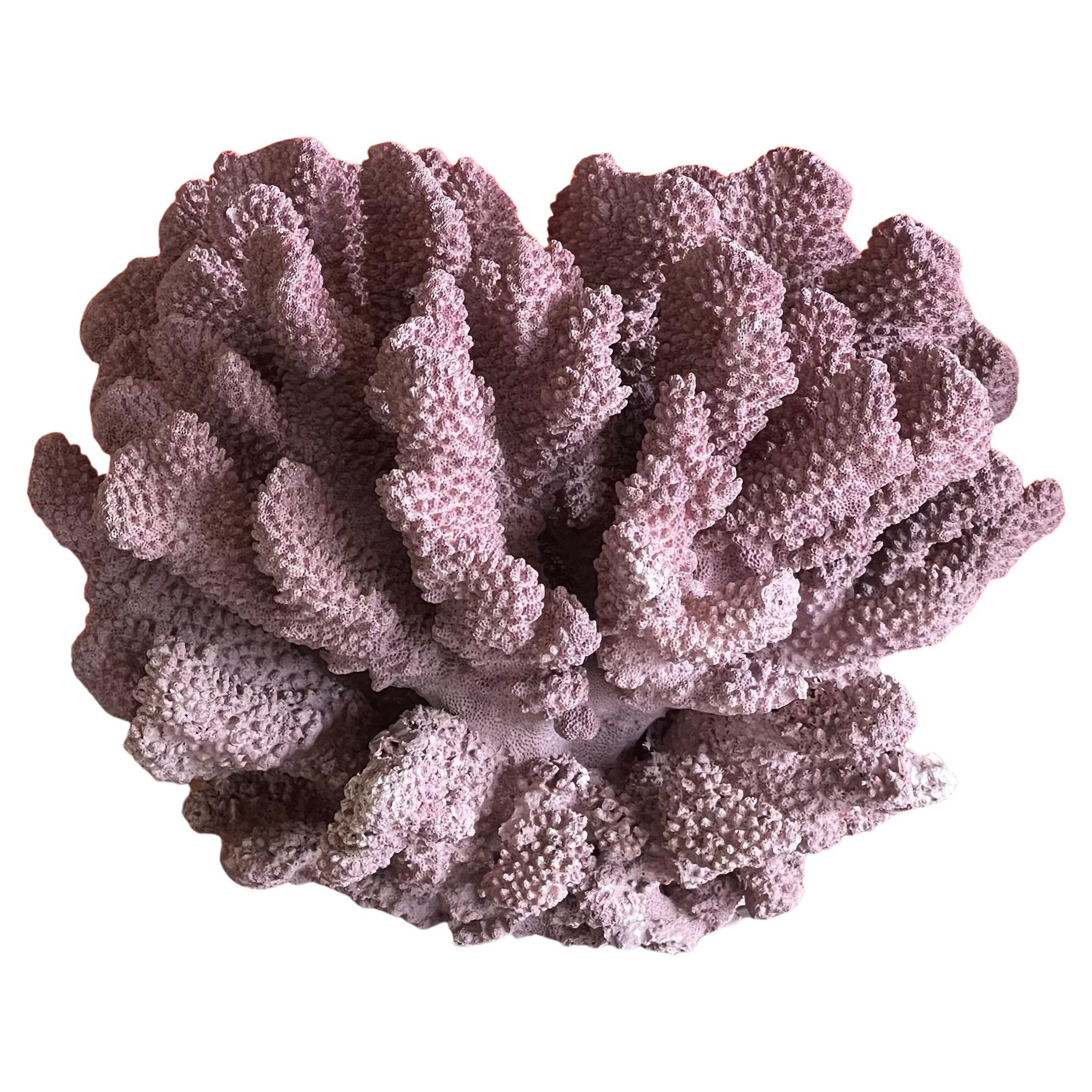Large Organic Pink Coral Sculptural Specimen on Lucite Base For Sale 10