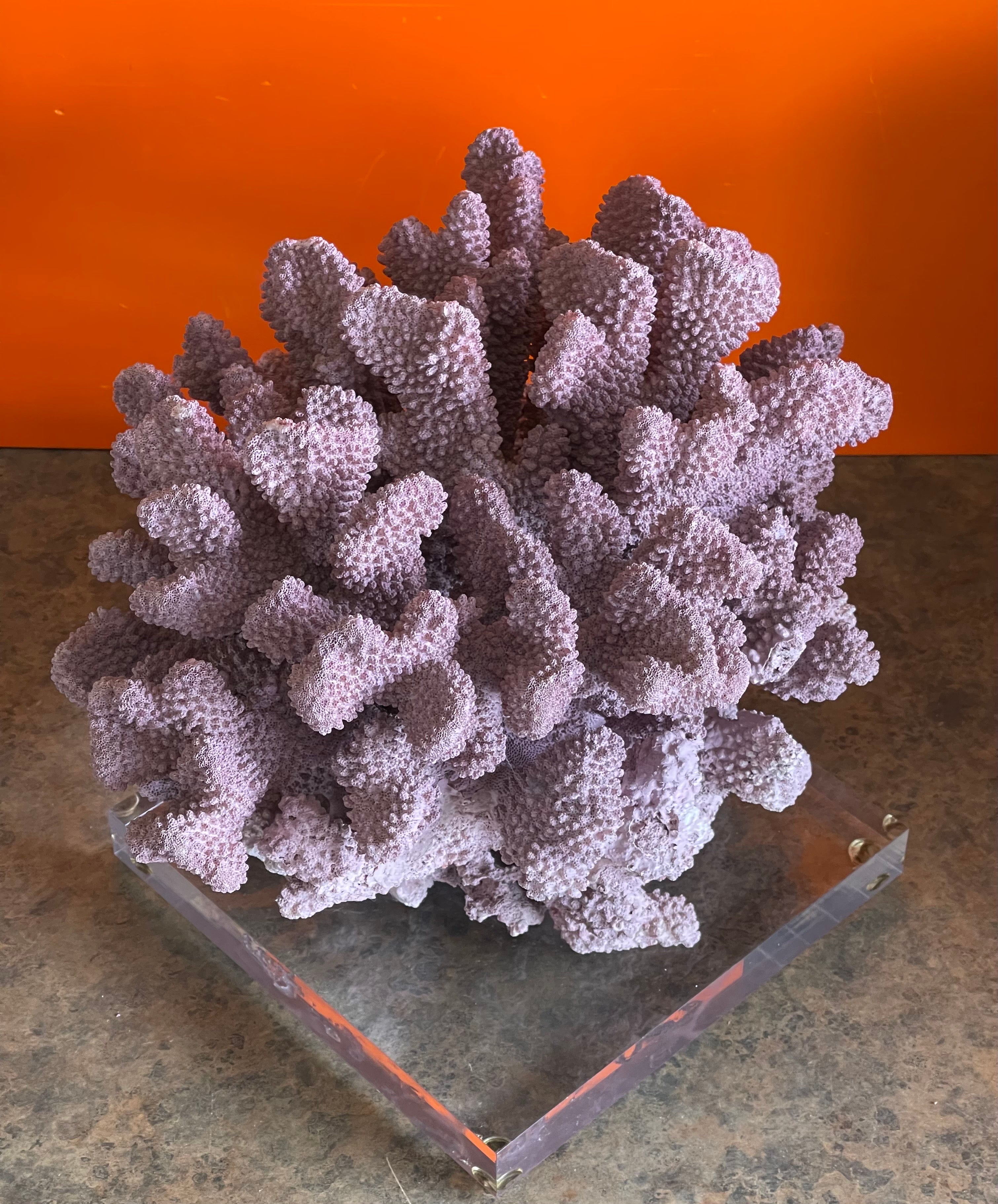 Hollywood Regency Large Organic Pink Coral Sculptural Specimen on Lucite Base For Sale