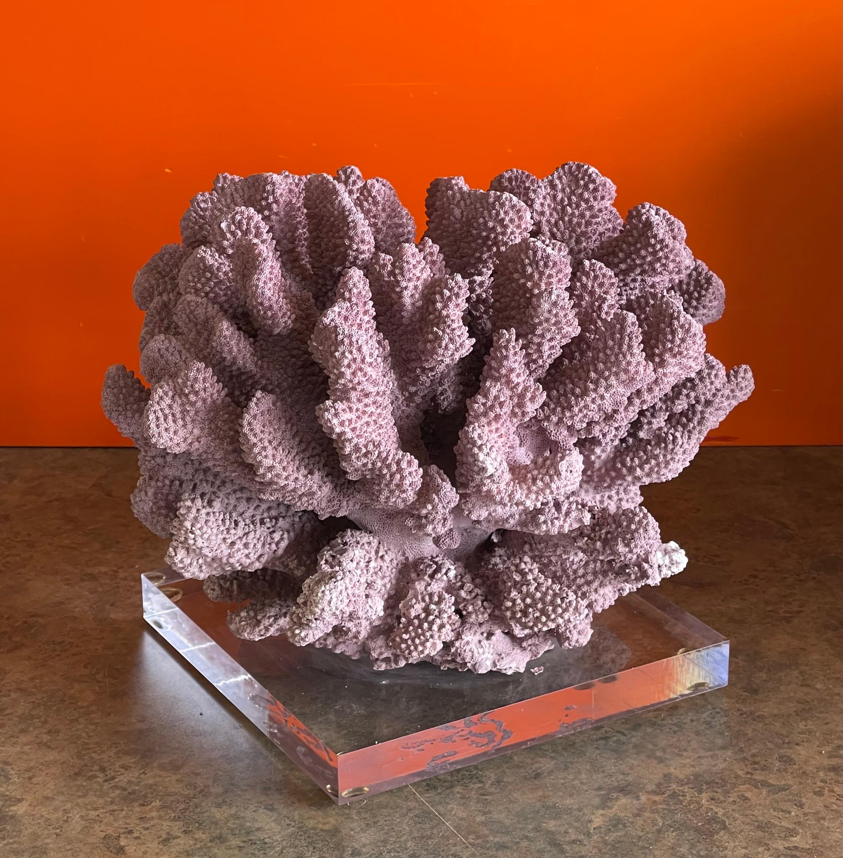 American Large Organic Pink Coral Sculptural Specimen on Lucite Base For Sale