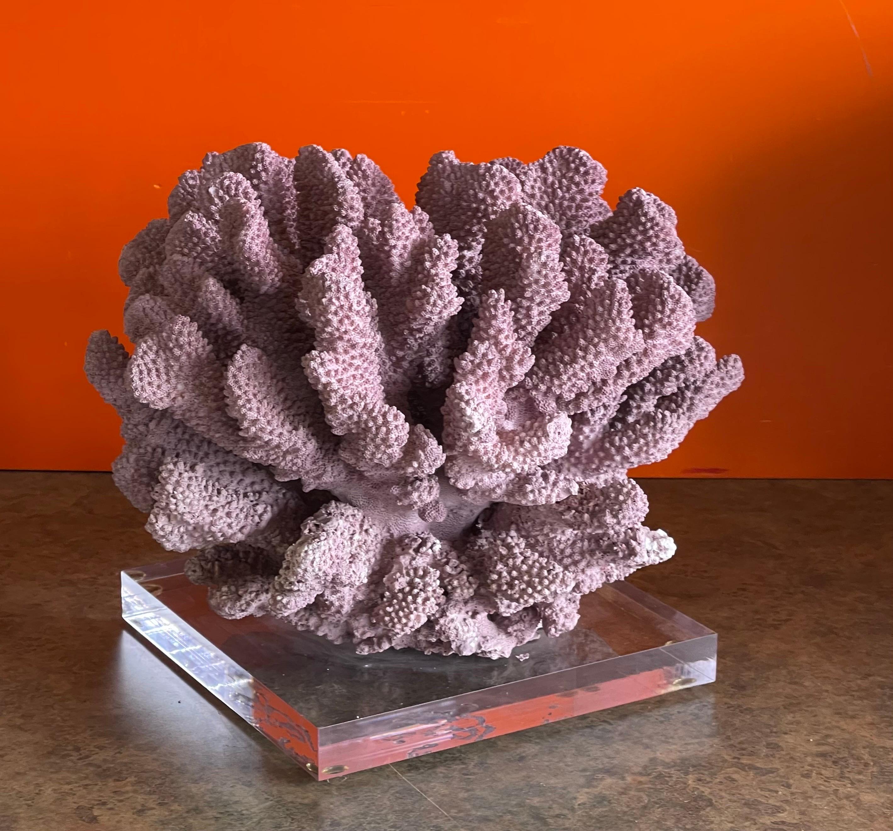 Large Organic Pink Coral Sculptural Specimen on Lucite Base In Good Condition For Sale In San Diego, CA