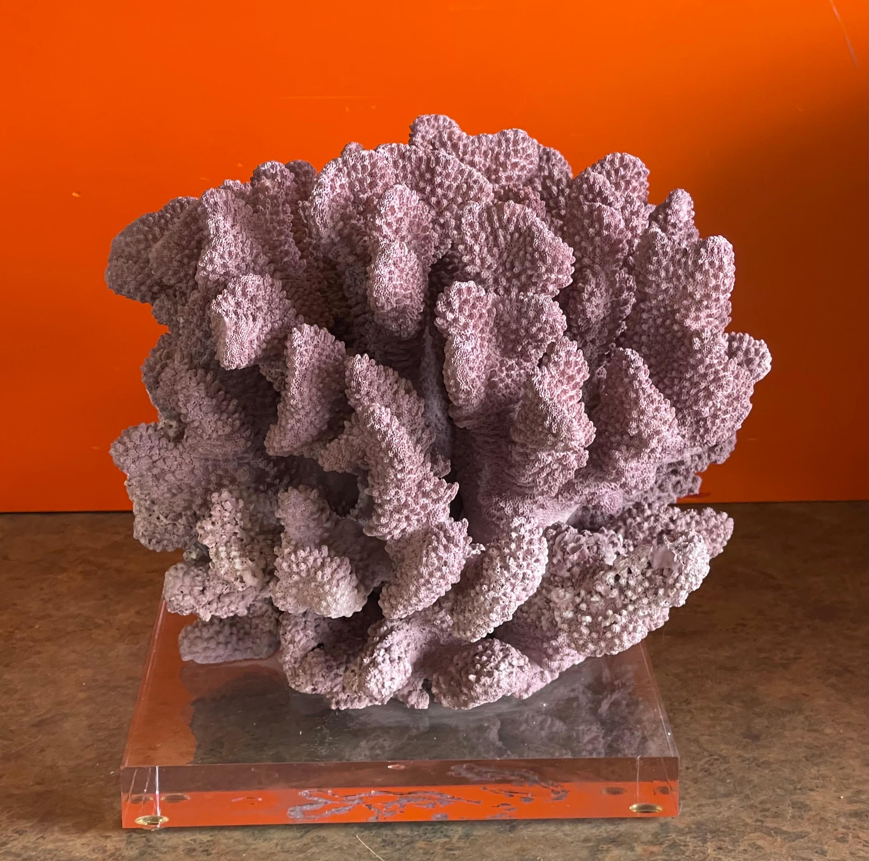 Large Organic Pink Coral Sculptural Specimen on Lucite Base For Sale 1