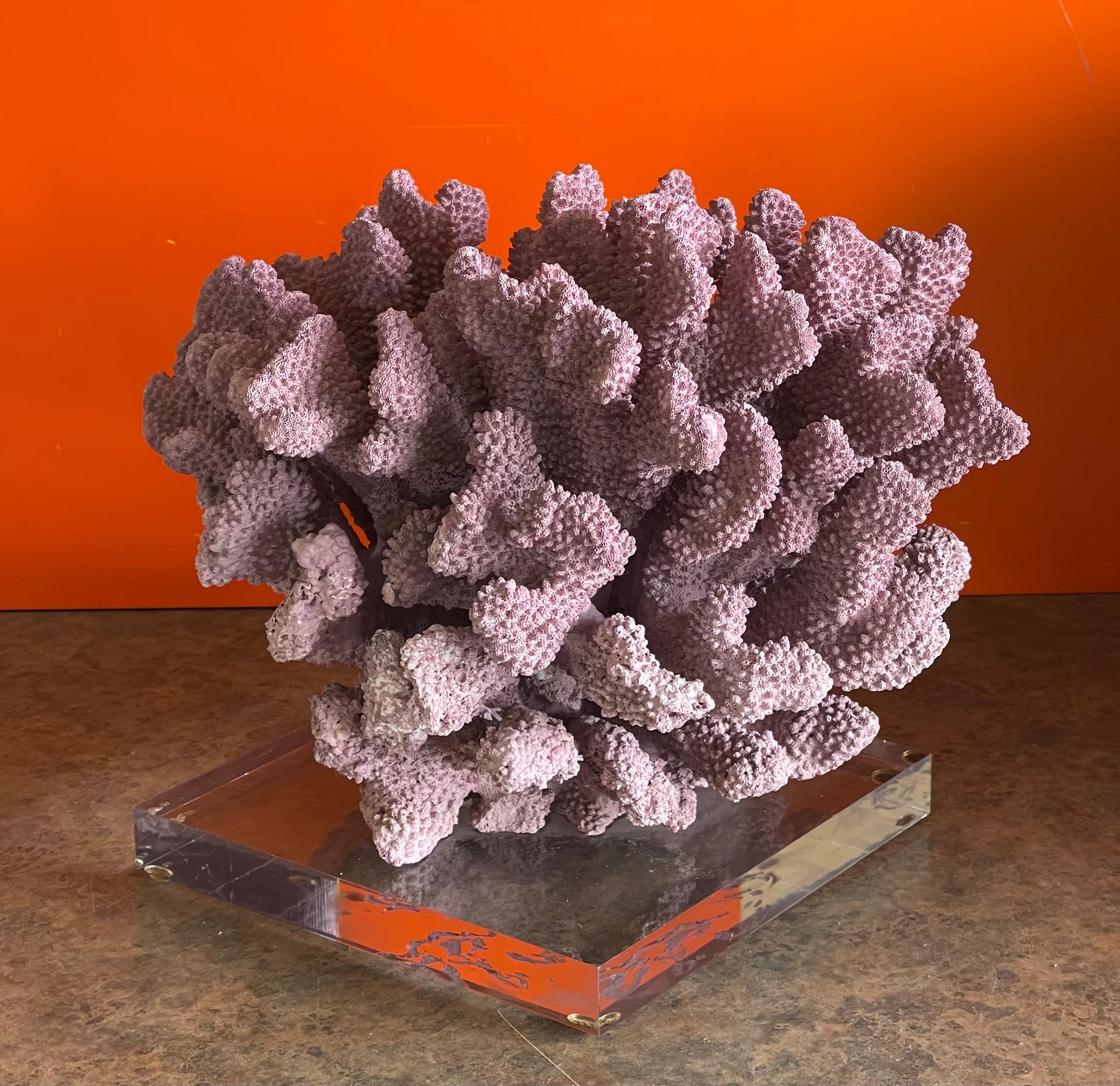 Large Organic Pink Coral Sculptural Specimen on Lucite Base For Sale 2