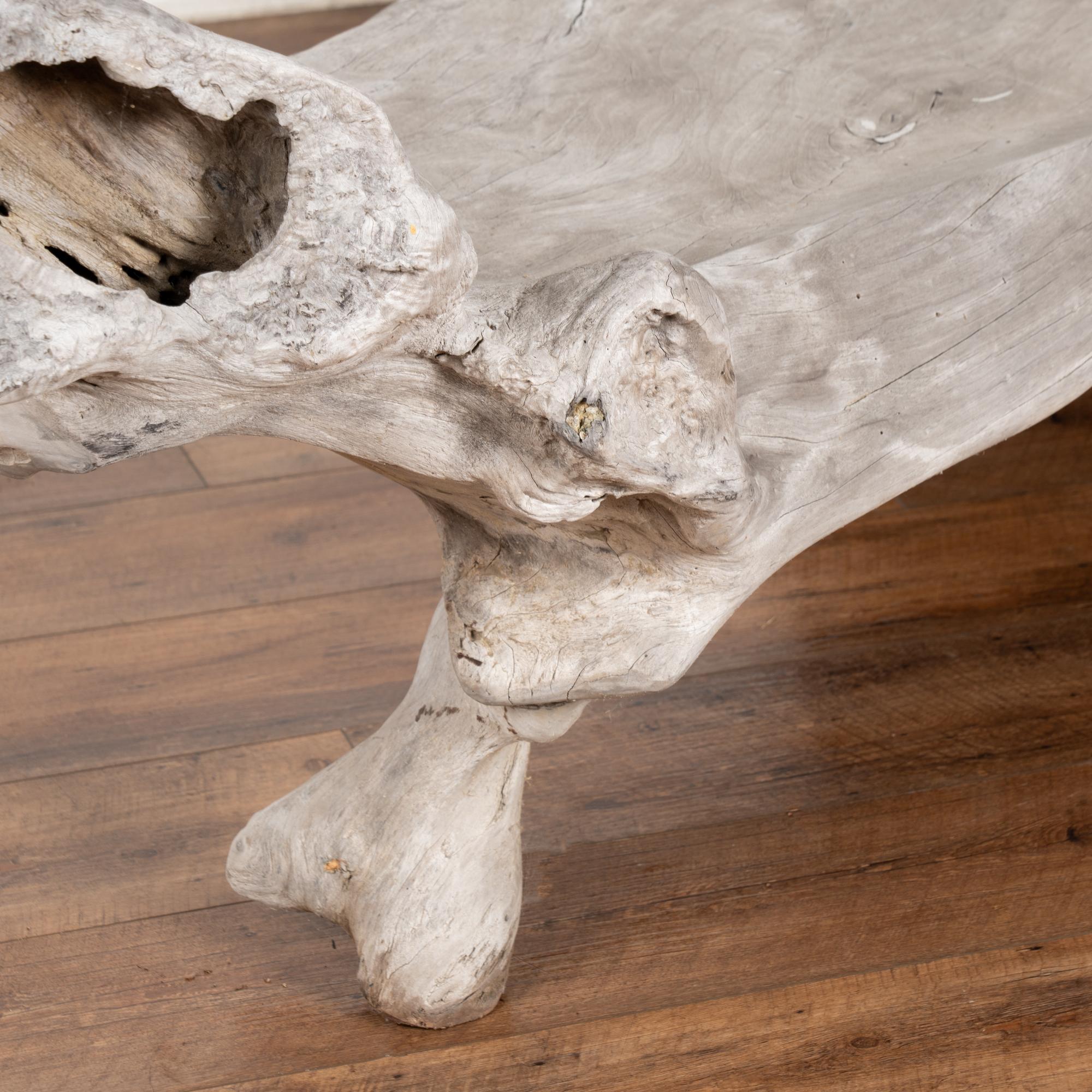Large Organic Teak Root Bench, circa 1940-60 For Sale 8