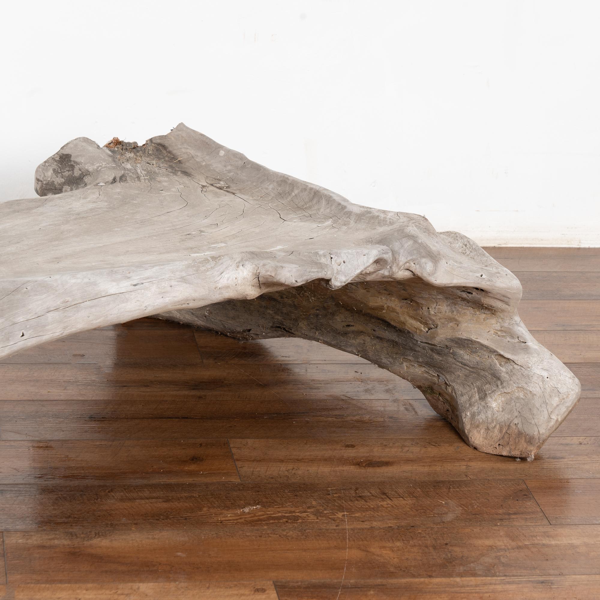 Large Organic Teak Root Bench, circa 1940-60 For Sale 9