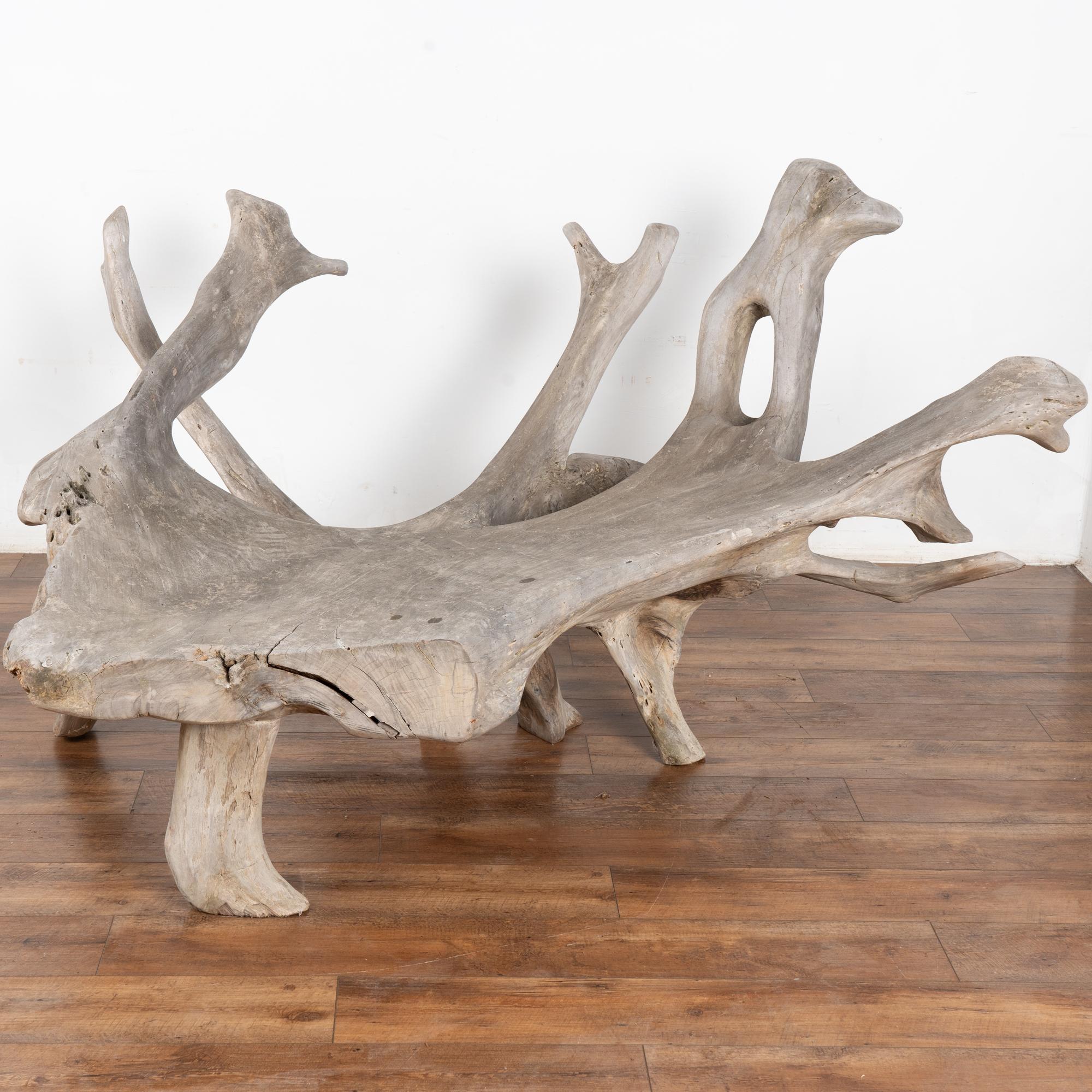 Il fascino organico di questa panca in teak attira l'attenzione. La seduta e lo schienale sono un unico pezzo di legno massiccio che si è naturalmente increspato e attorcigliato.
Sebbene sia un'ottima panchina da esterno, può essere vista anche come