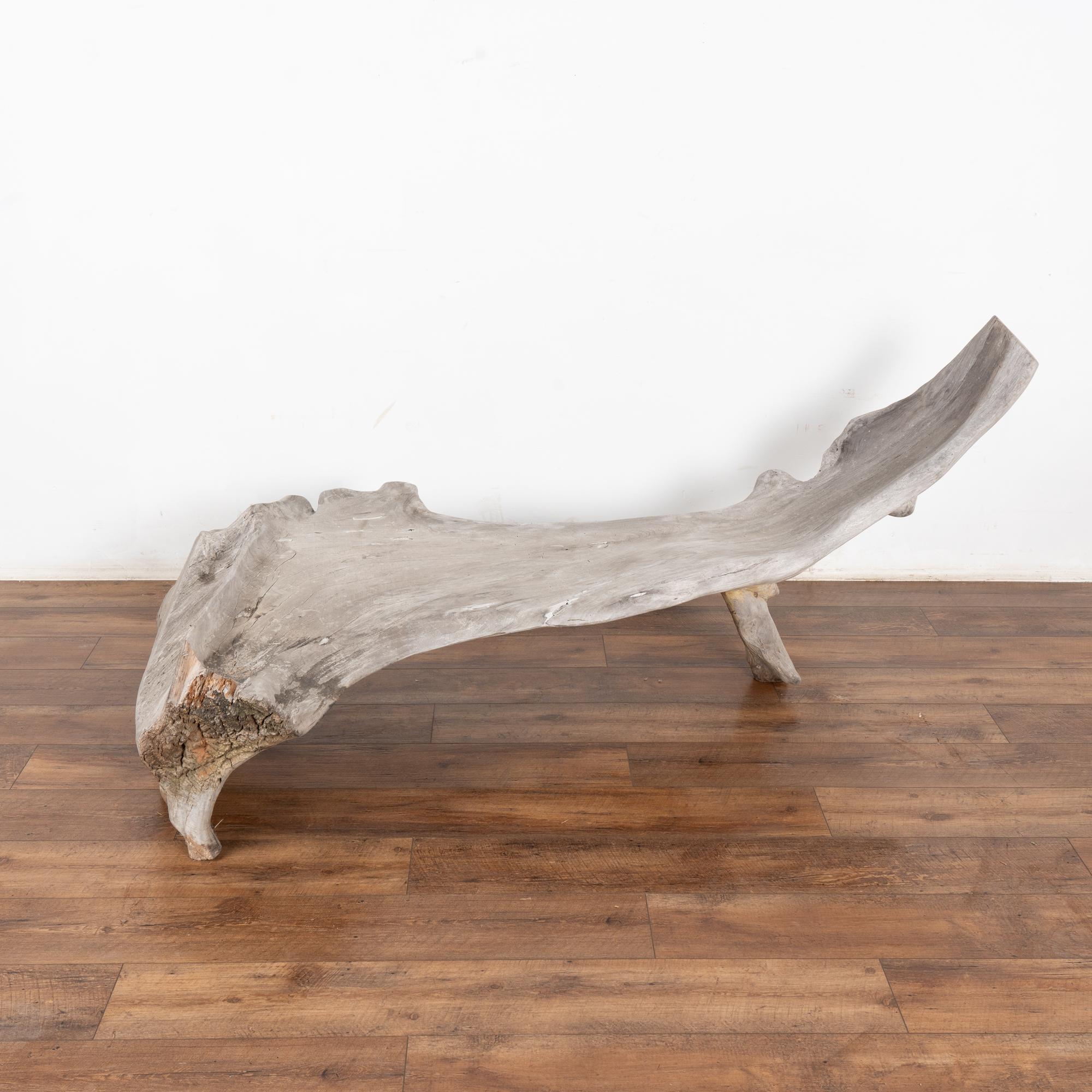 Organic Modern Large Organic Teak Root Bench, circa 1940-60 For Sale