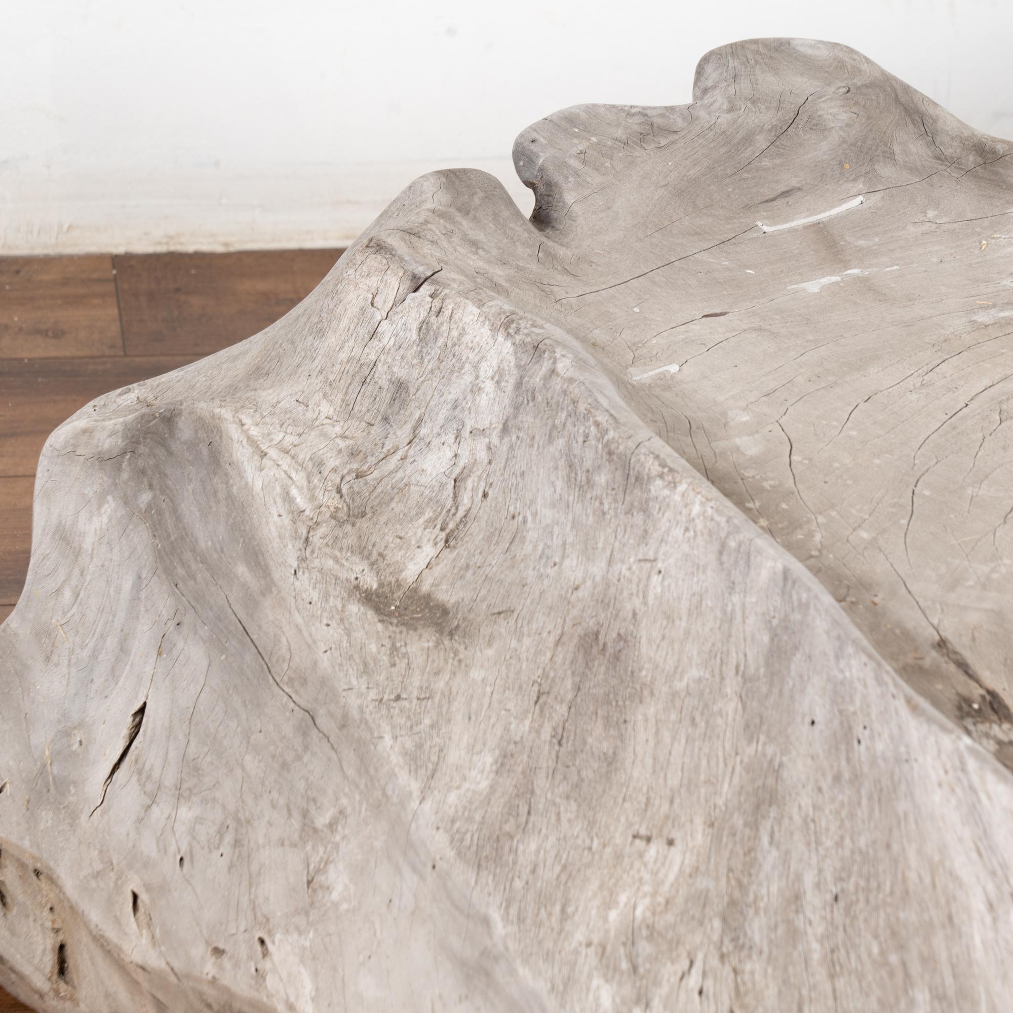 20th Century Large Organic Teak Root Bench, circa 1940-60 For Sale
