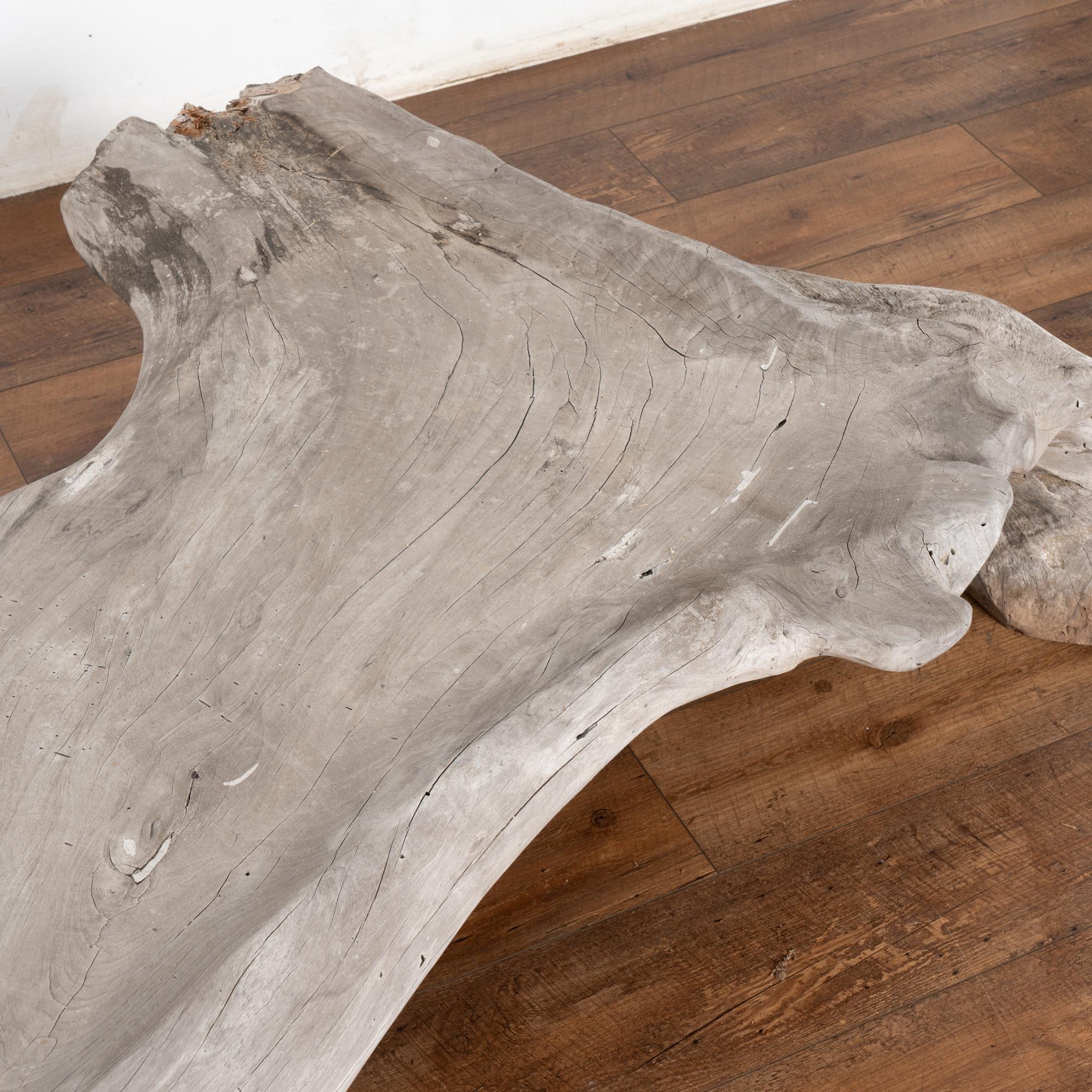 Large Organic Teak Root Bench, circa 1940-60 For Sale 2