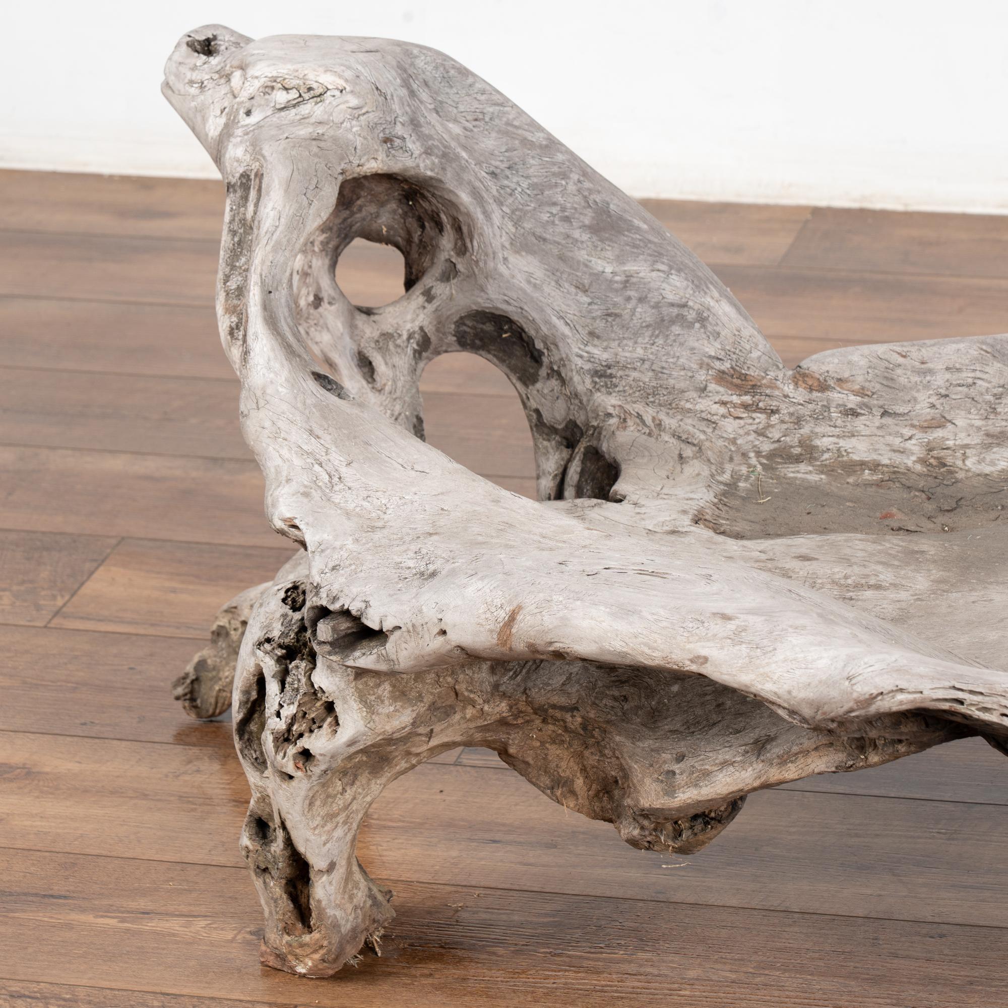 Filippino Grande panca organica in teak con iguana intagliata, circa 1940-60 in vendita